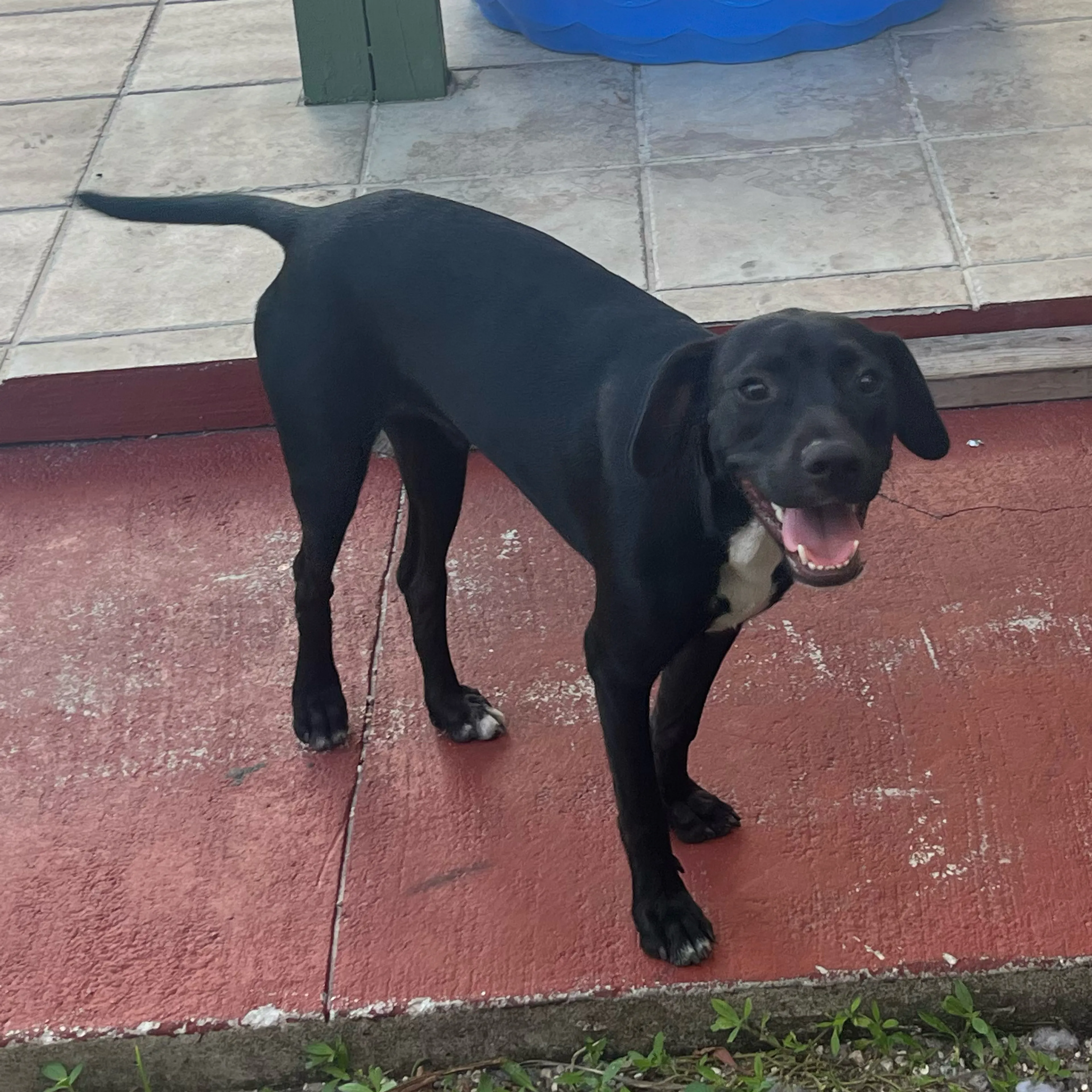 cdn image