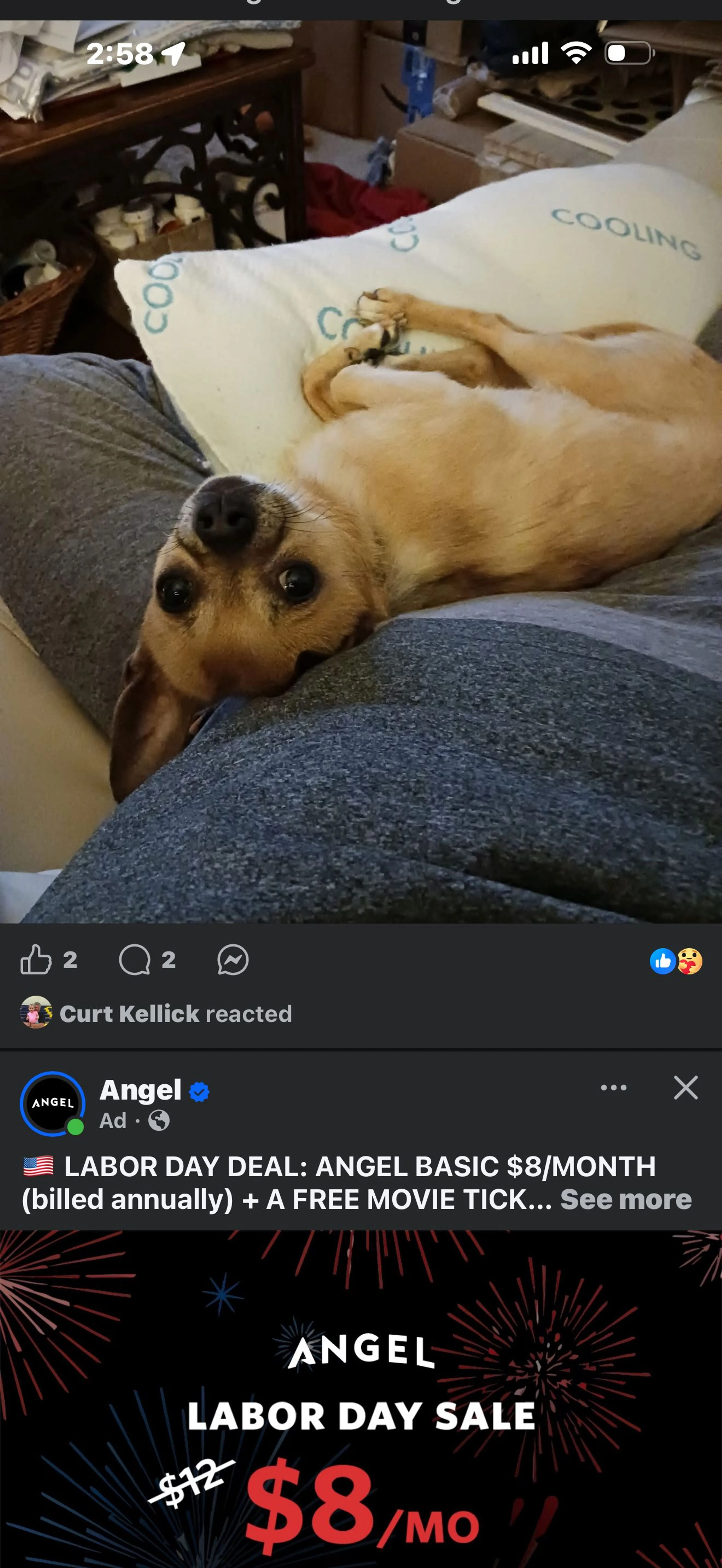cdn image