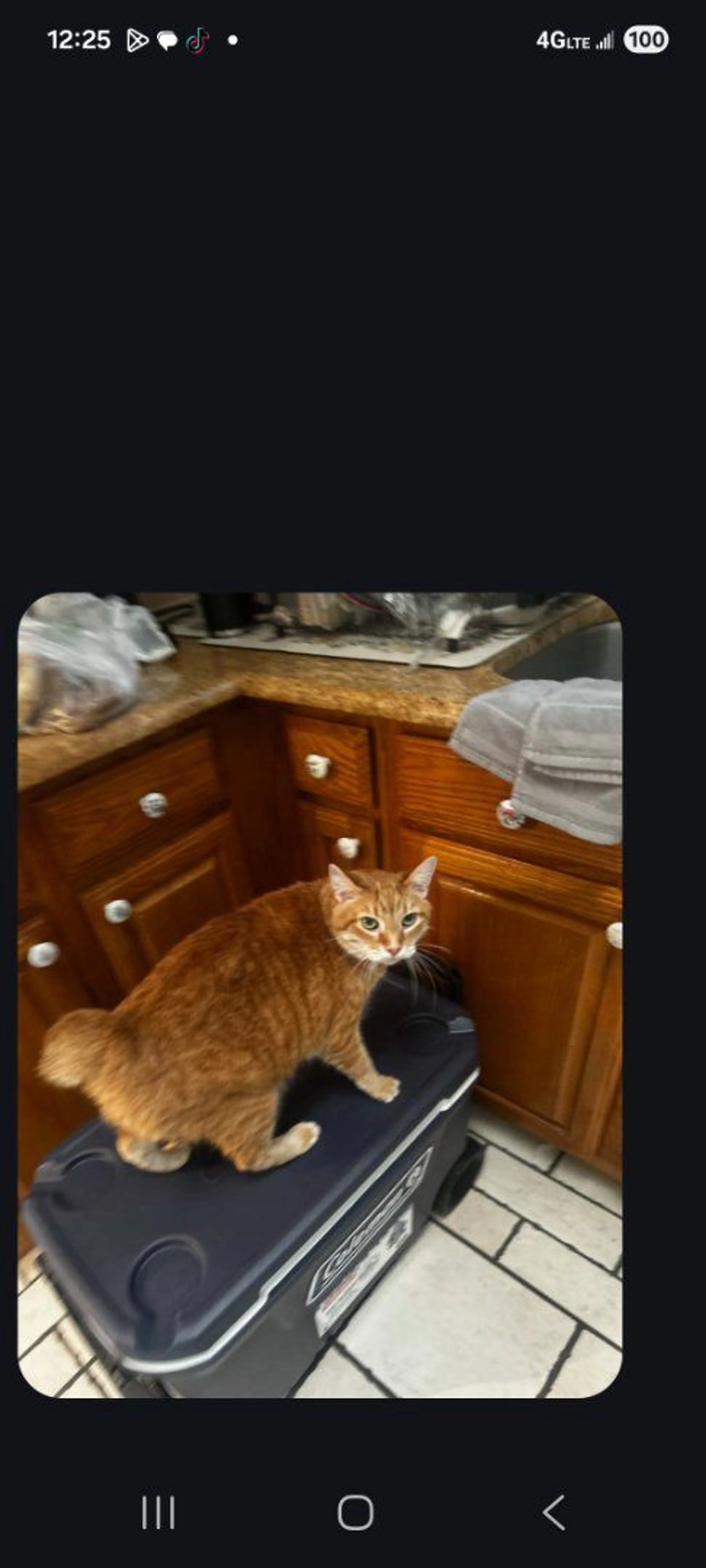 cdn image
