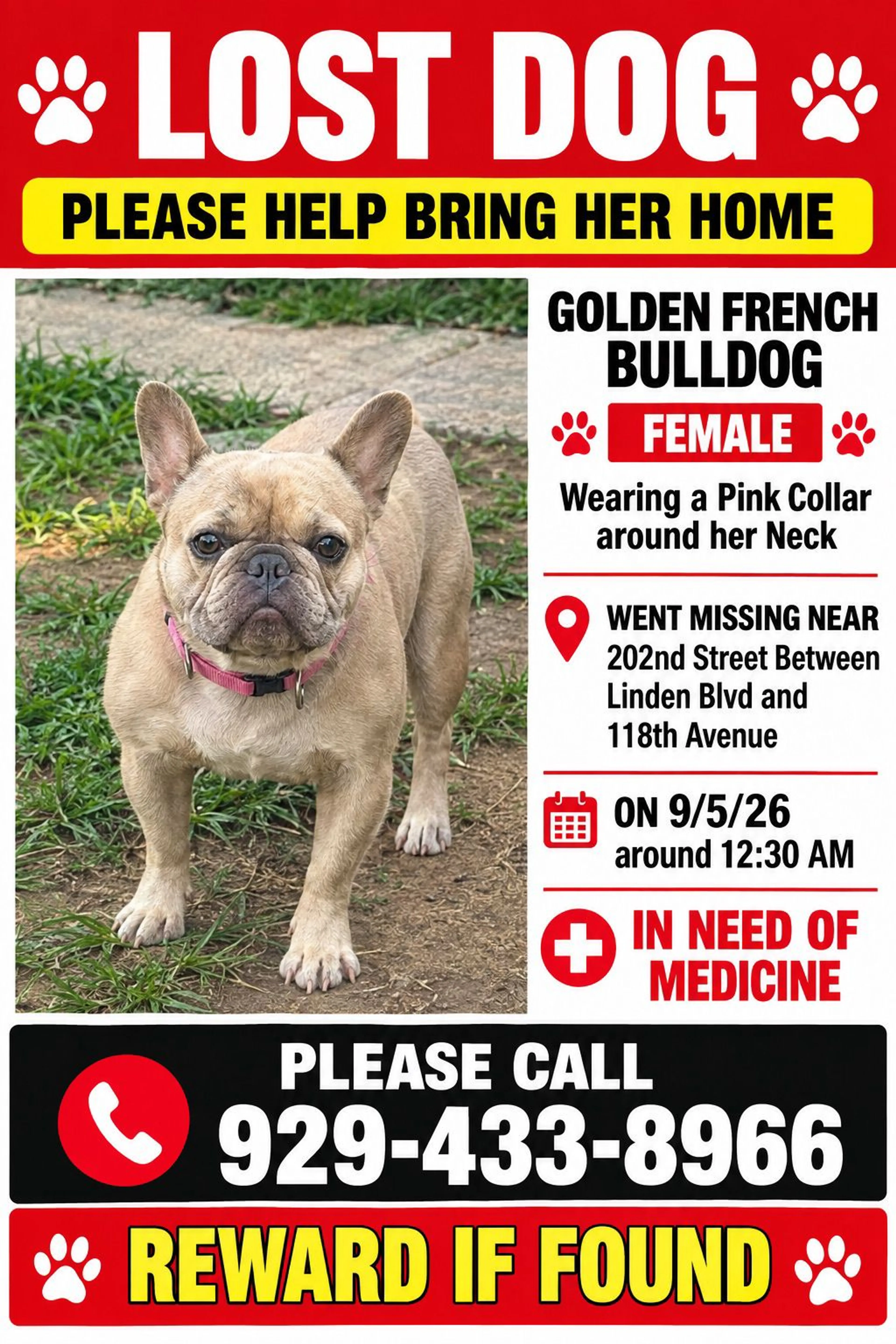 cdn image
