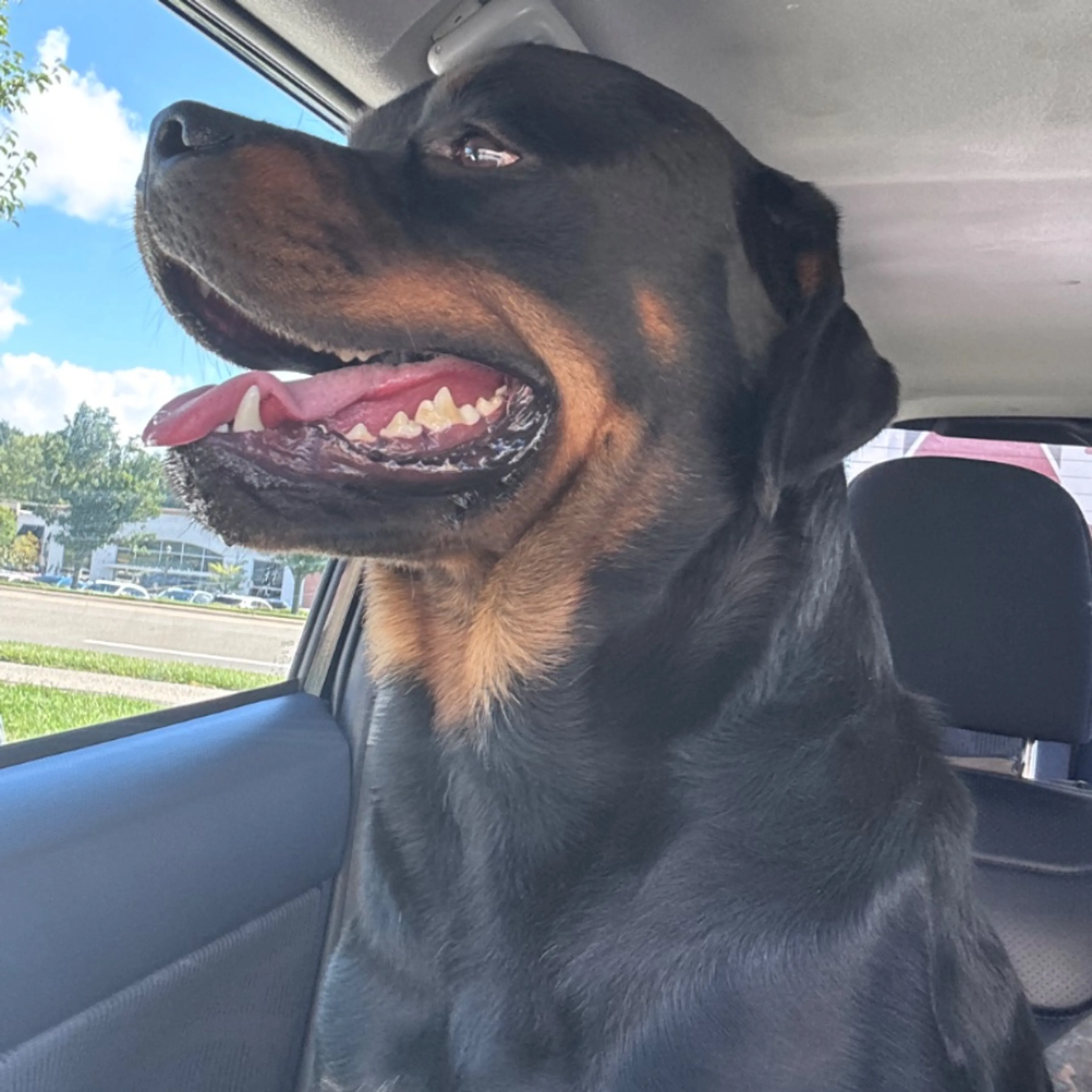 cdn image