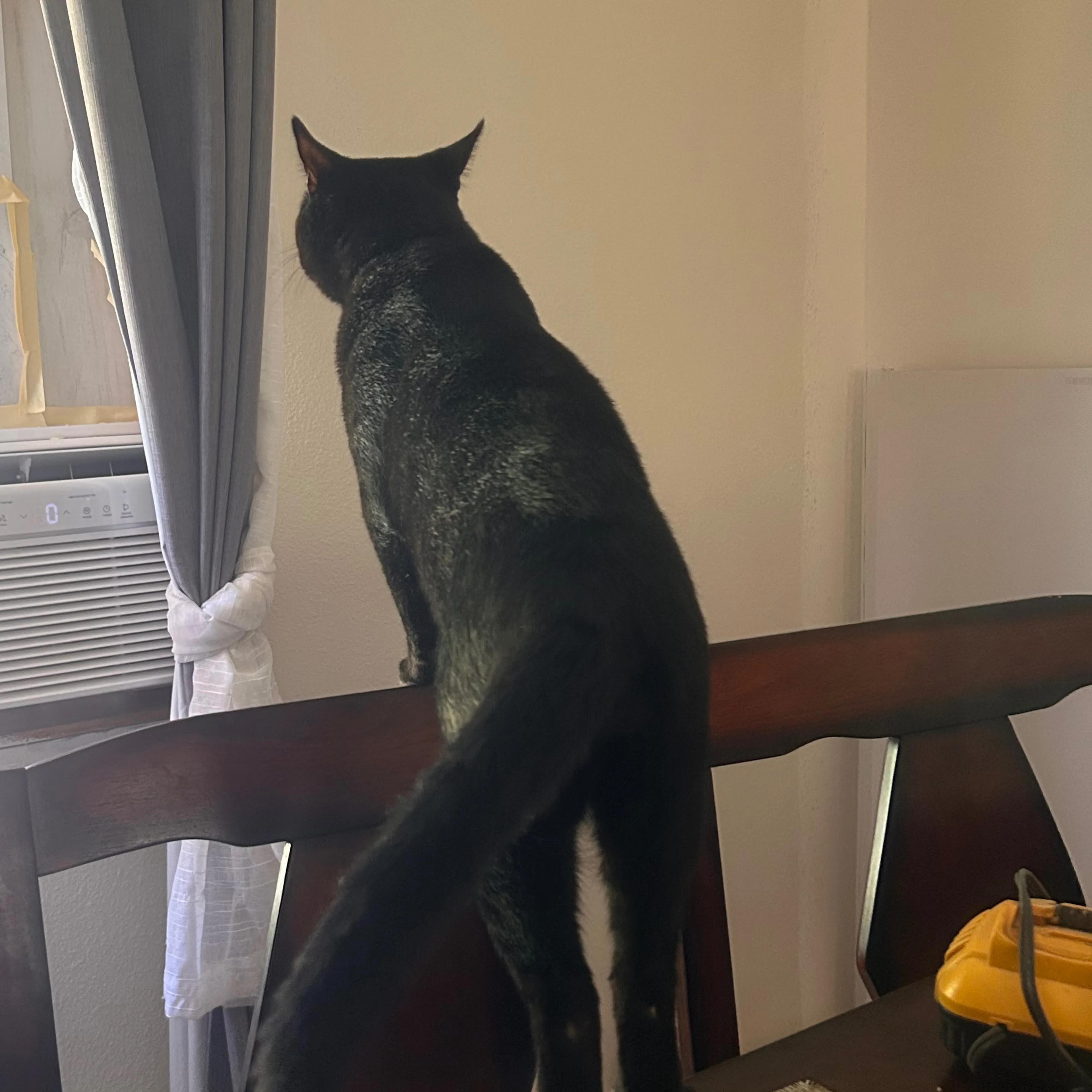 cdn image