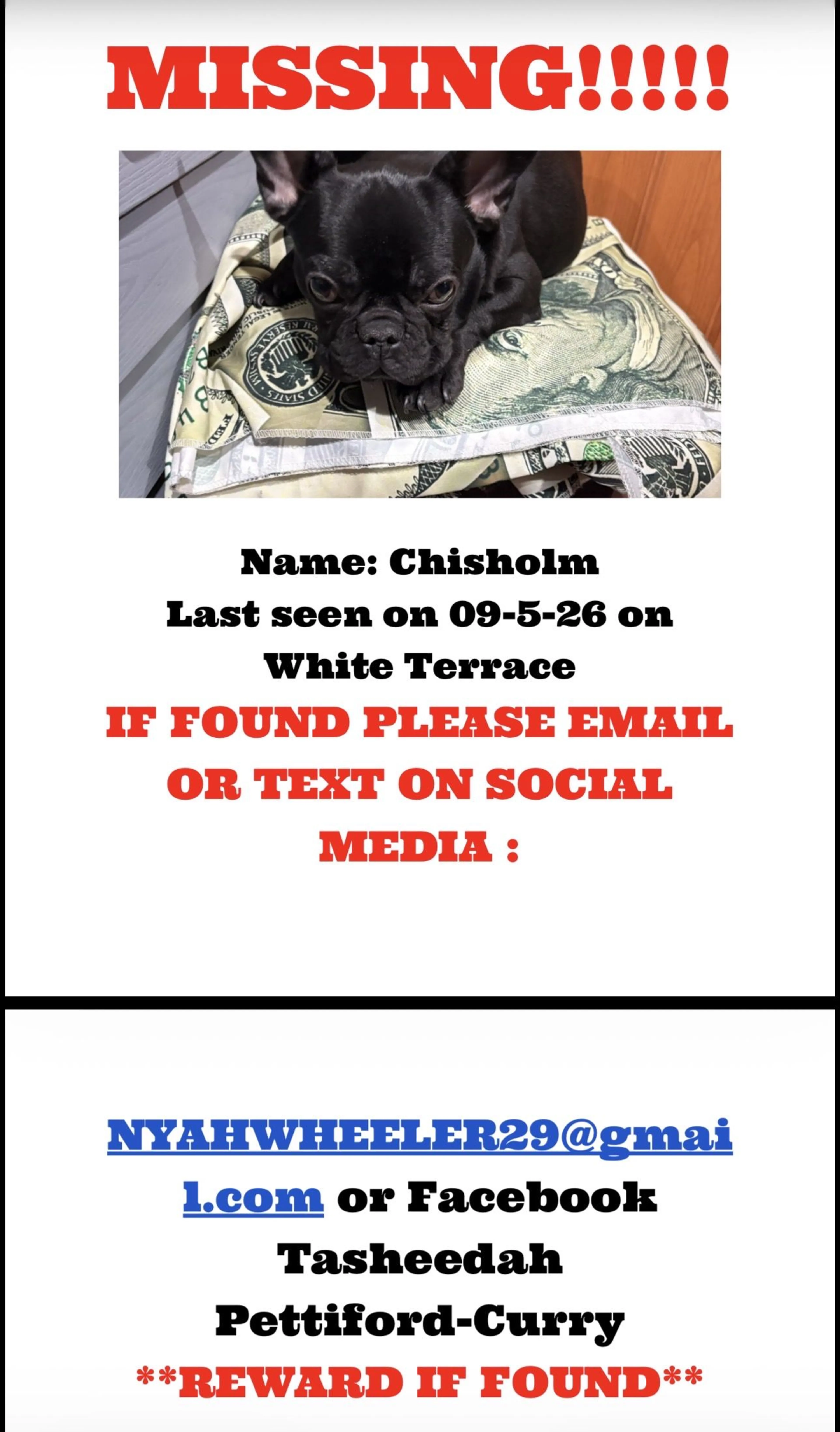 cdn image