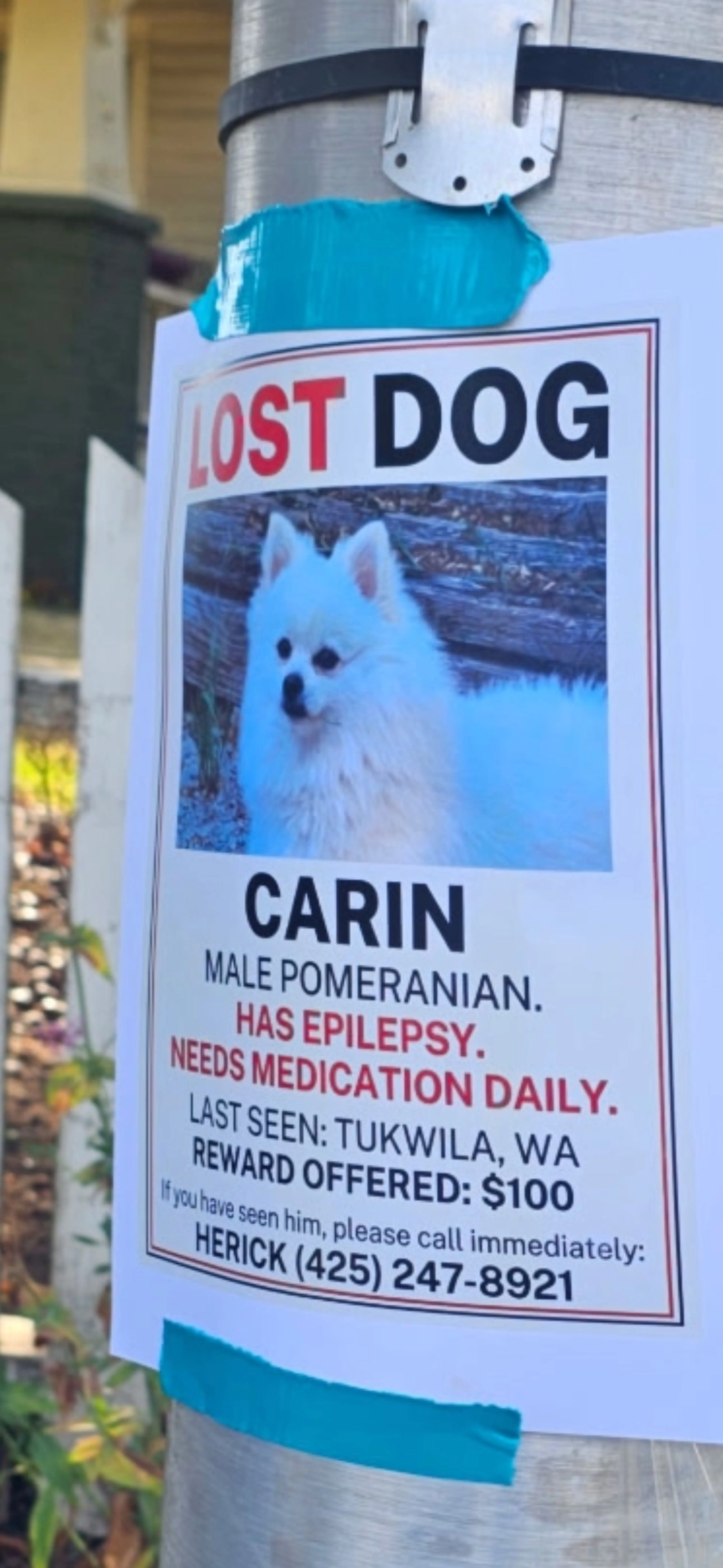 cdn image