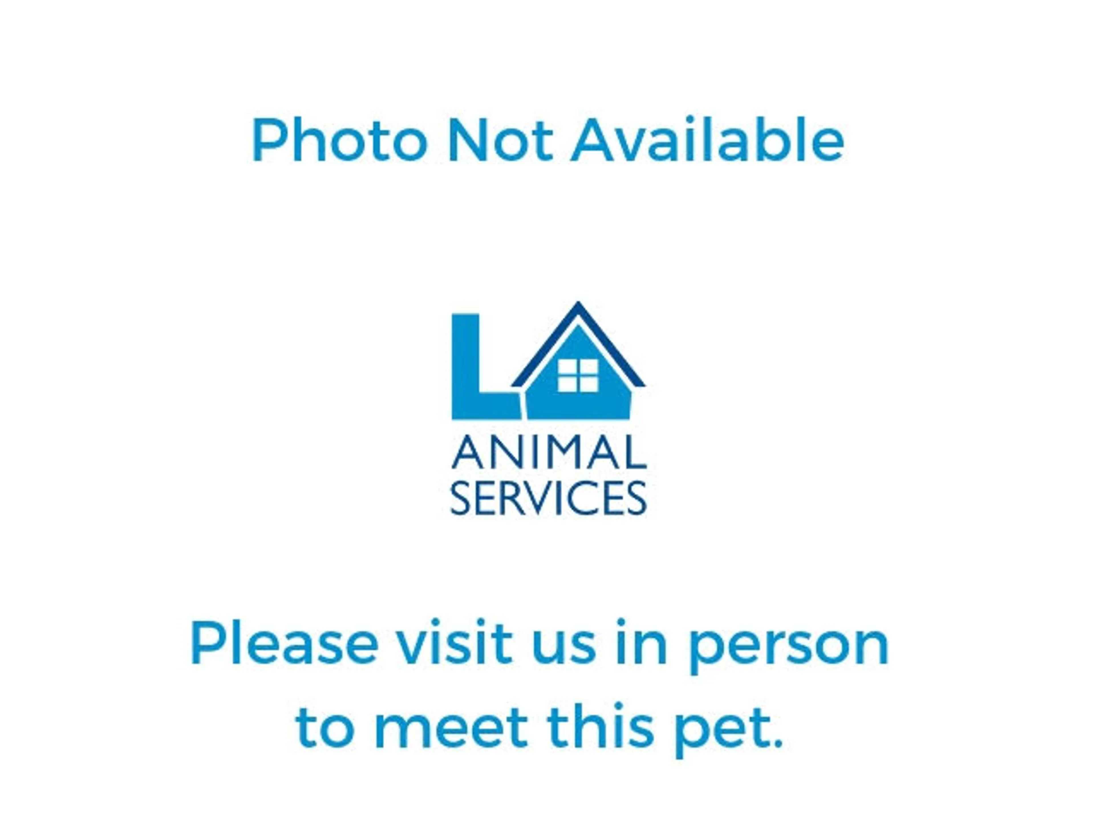 cdn image
