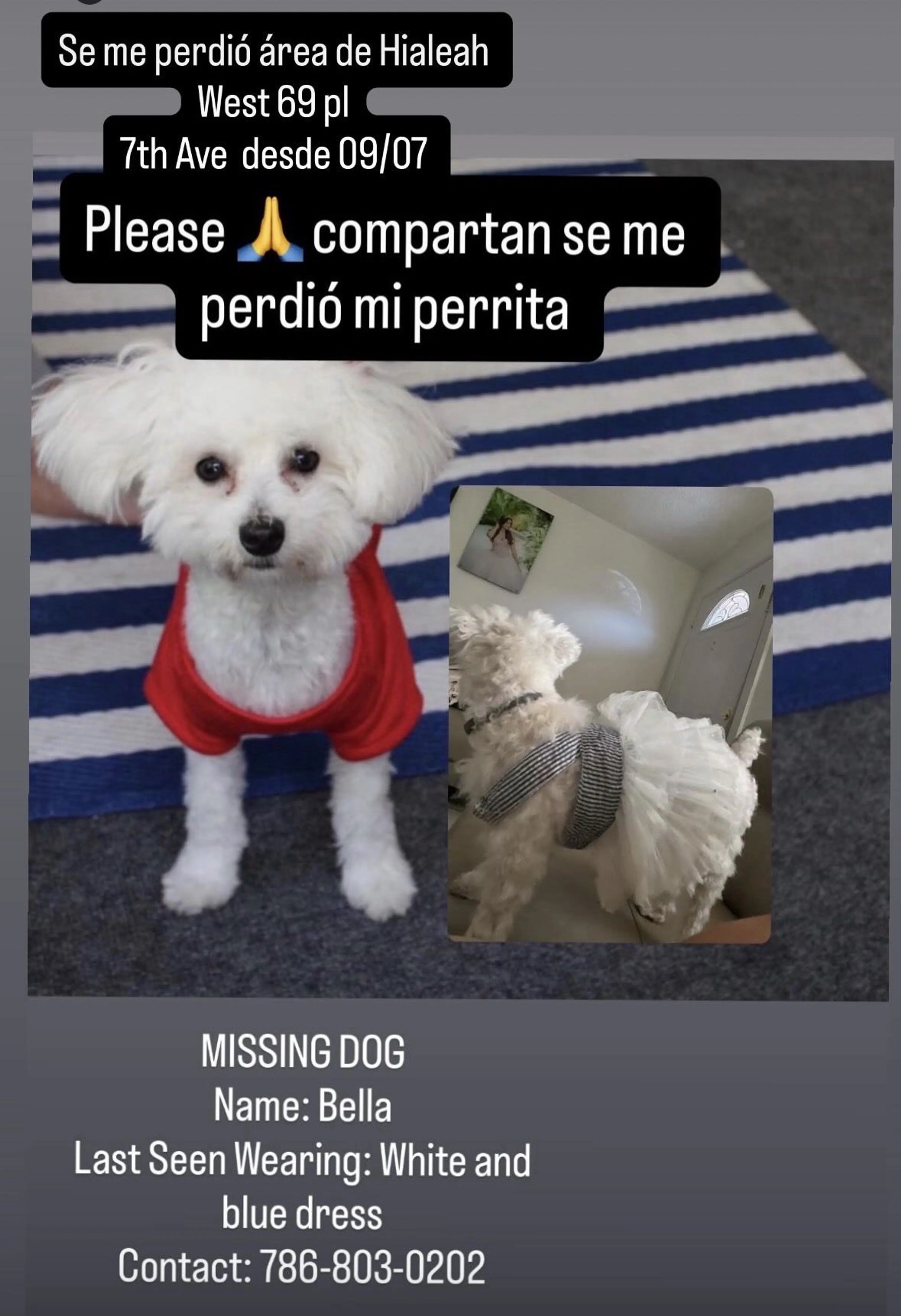 cdn image