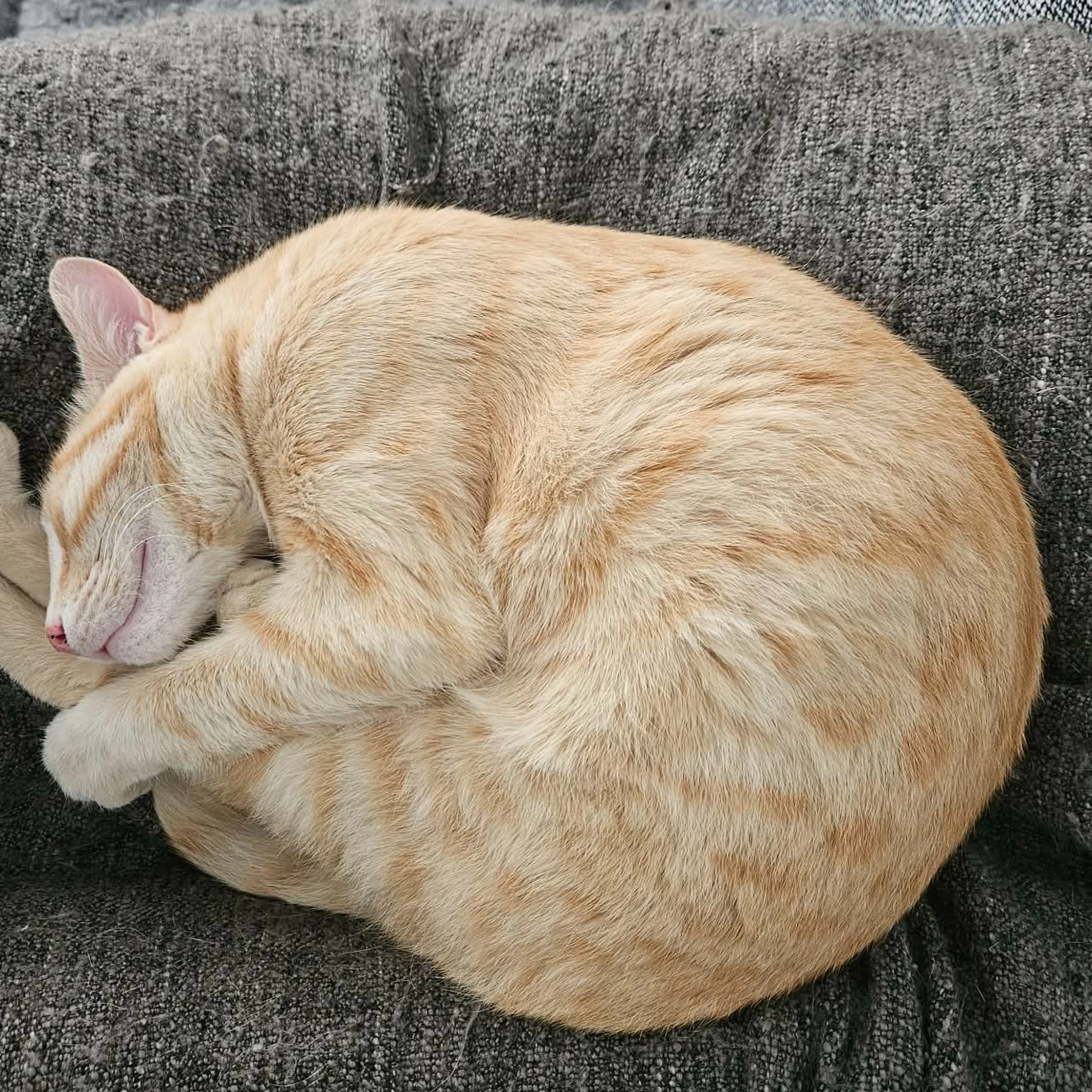 cdn image