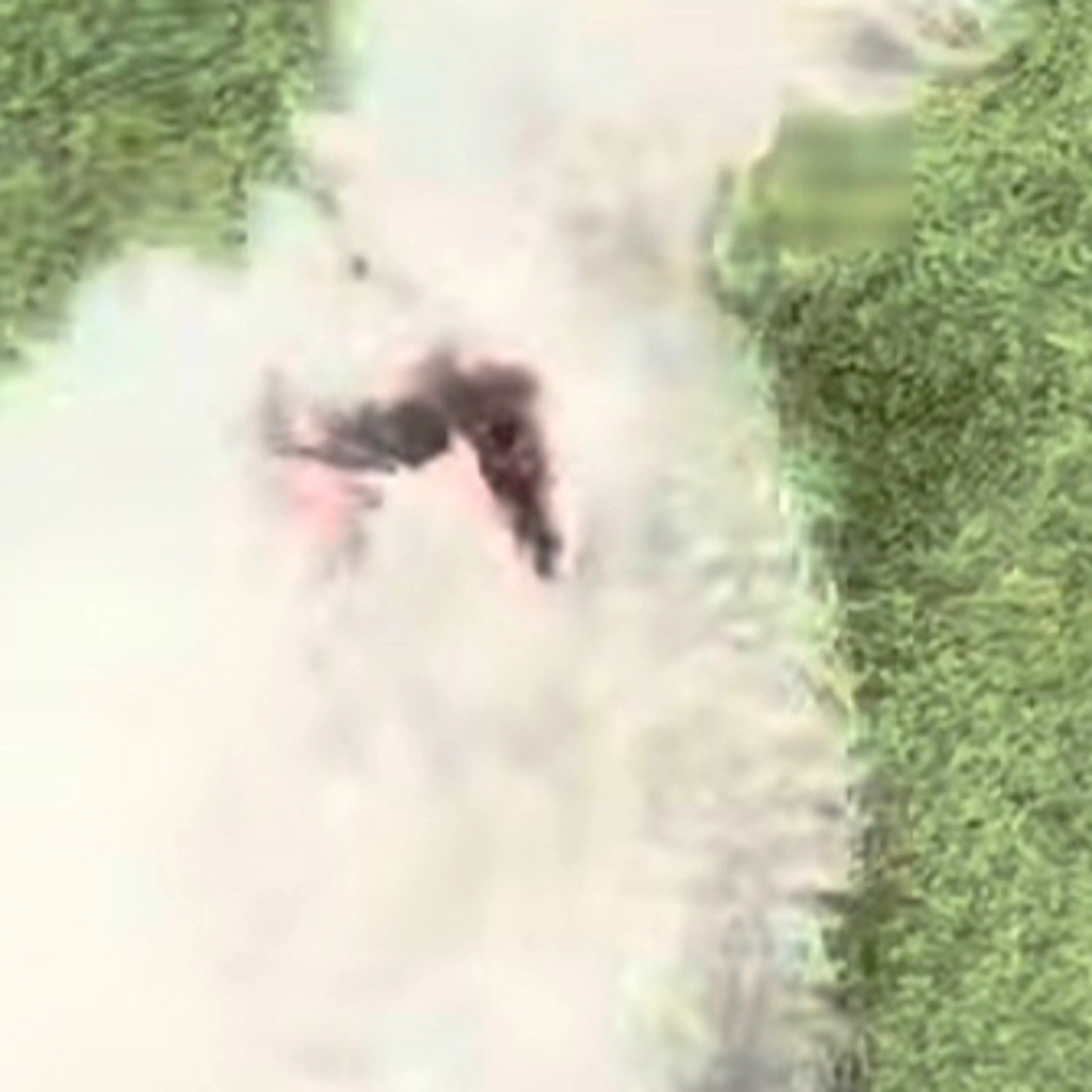 cdn image