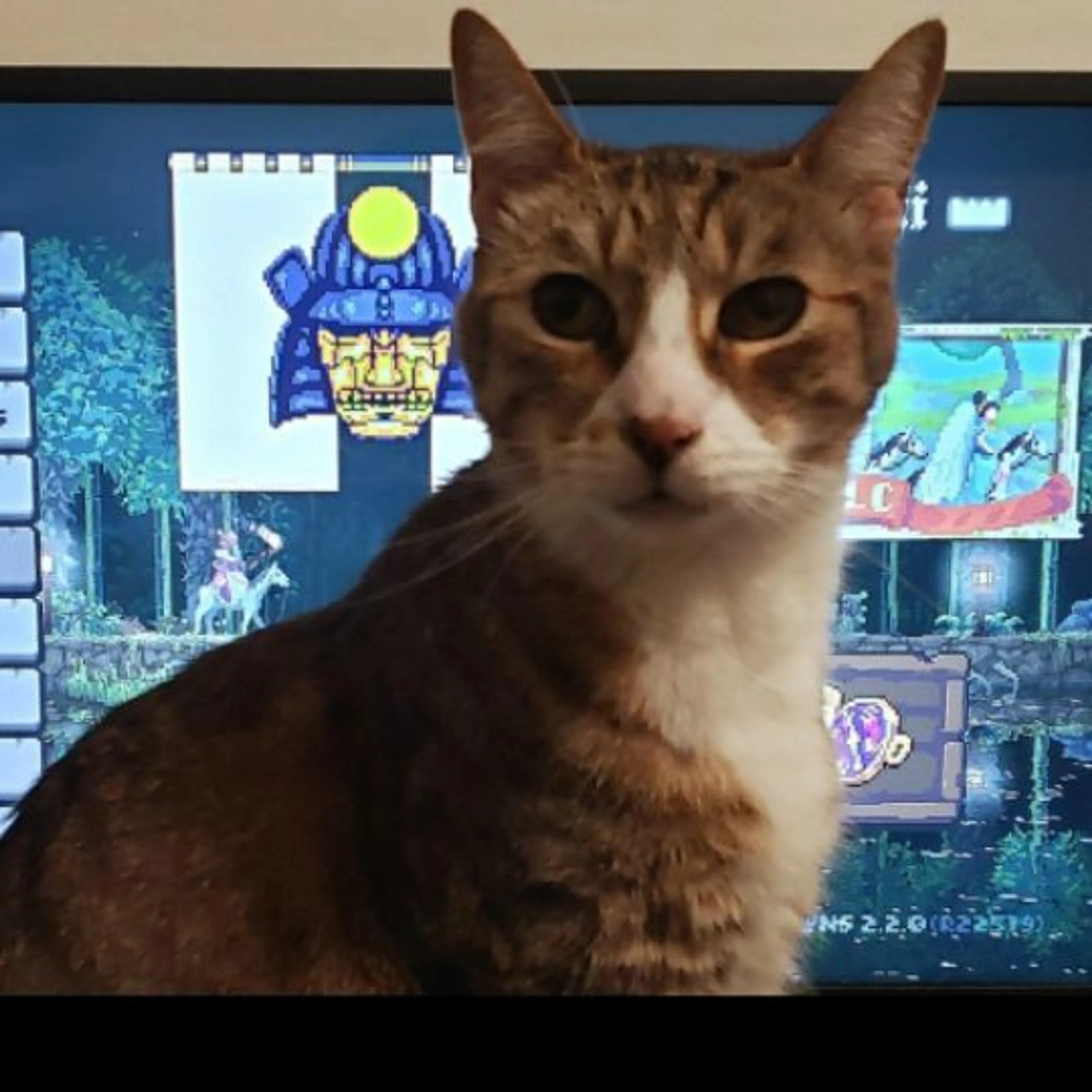 cdn image