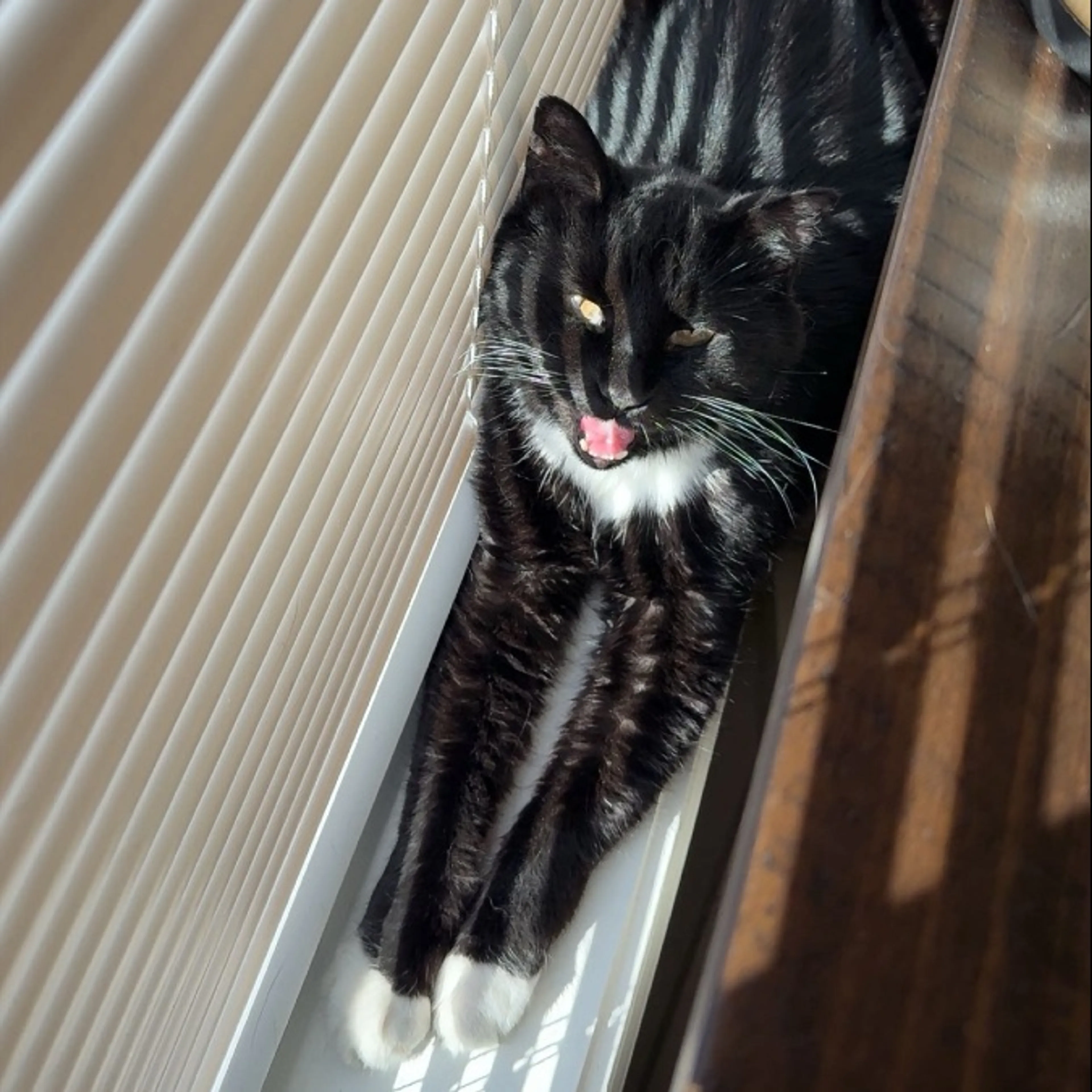 cdn image