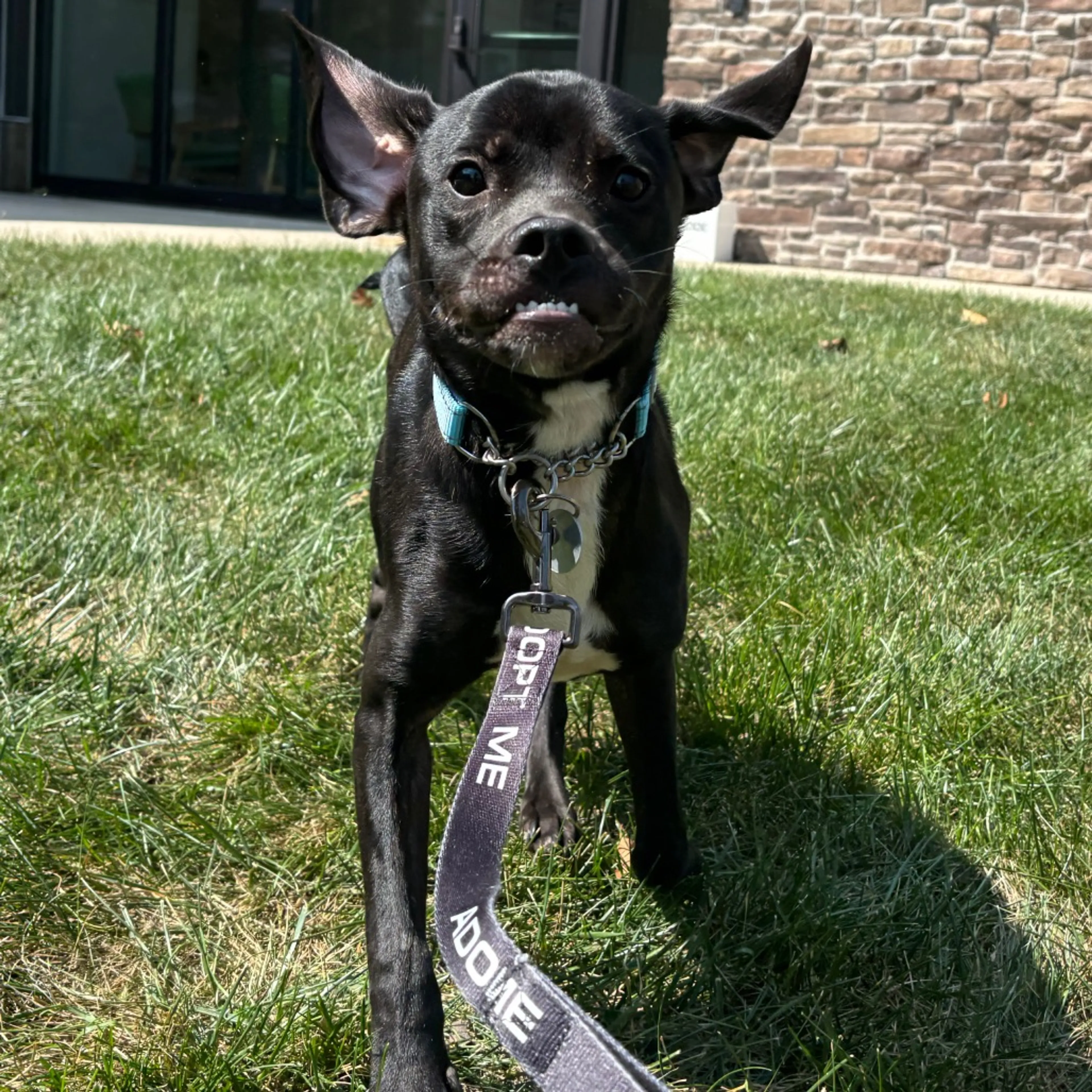 cdn image