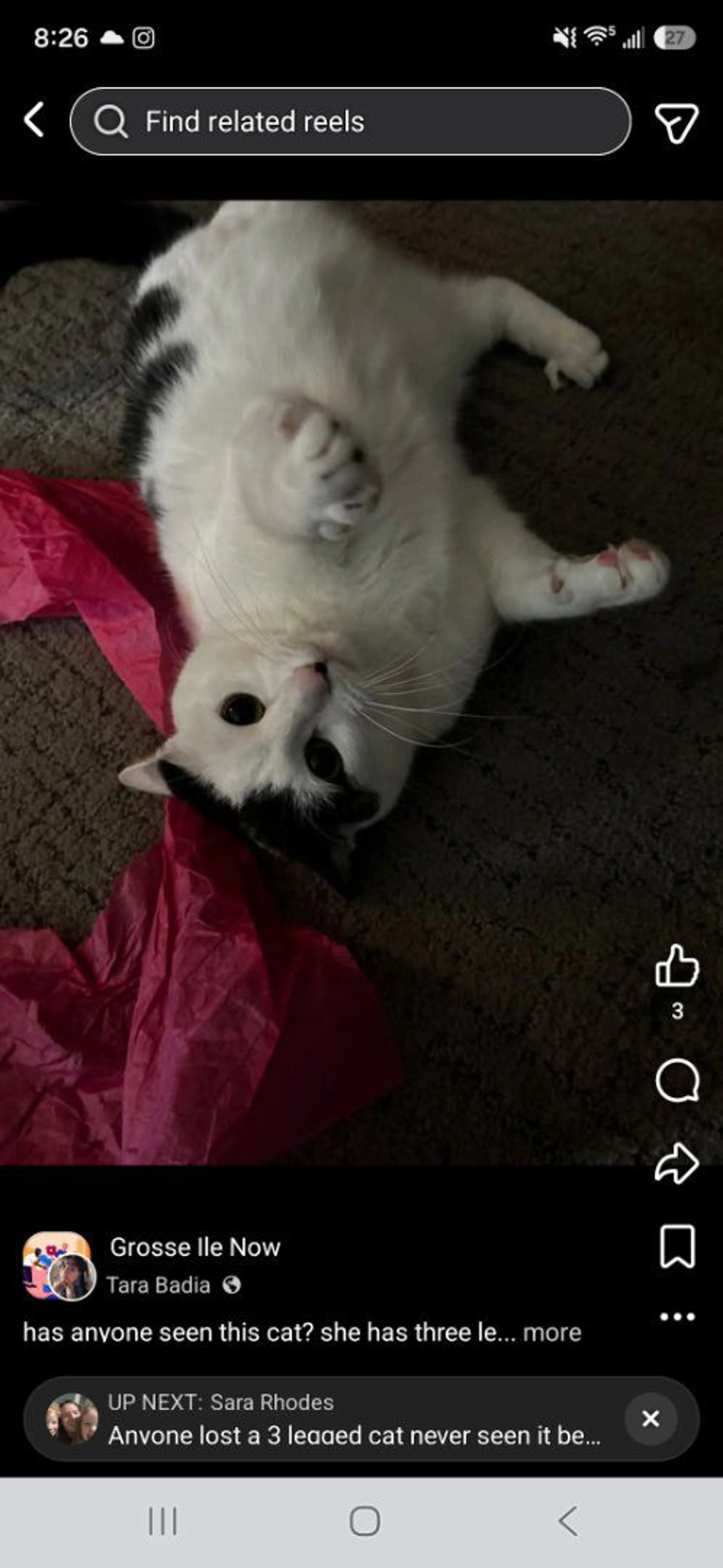 cdn image