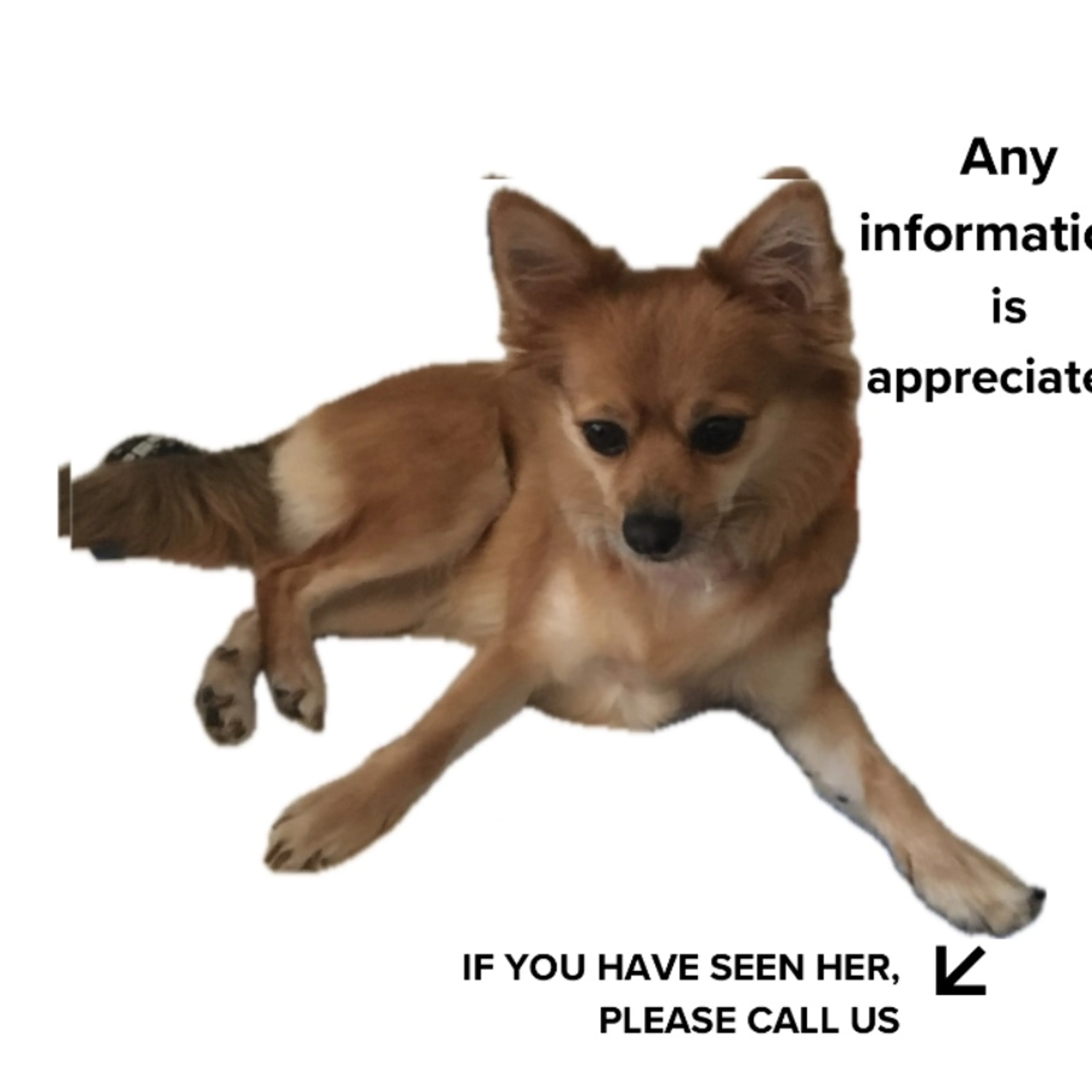 cdn image