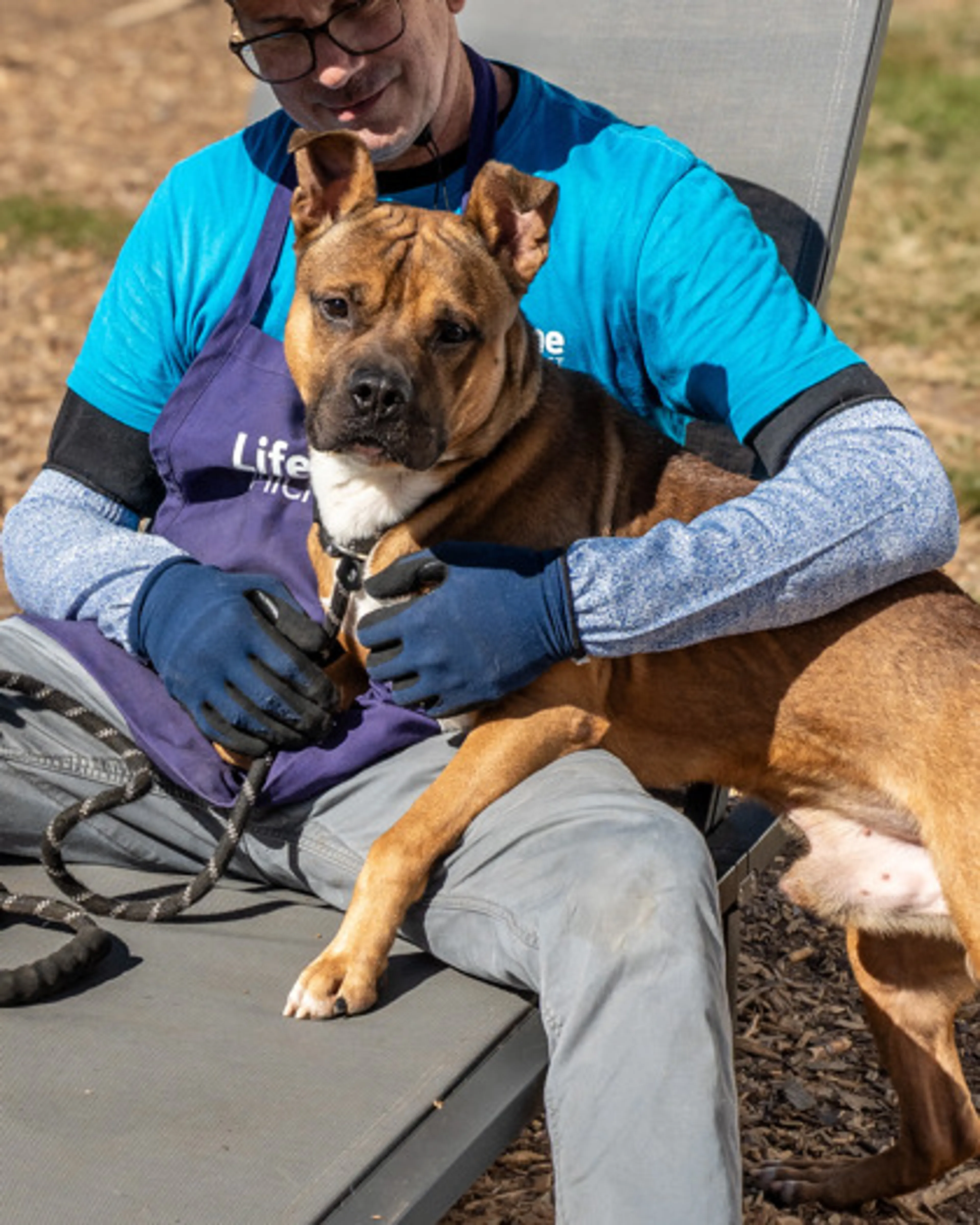 cdn image