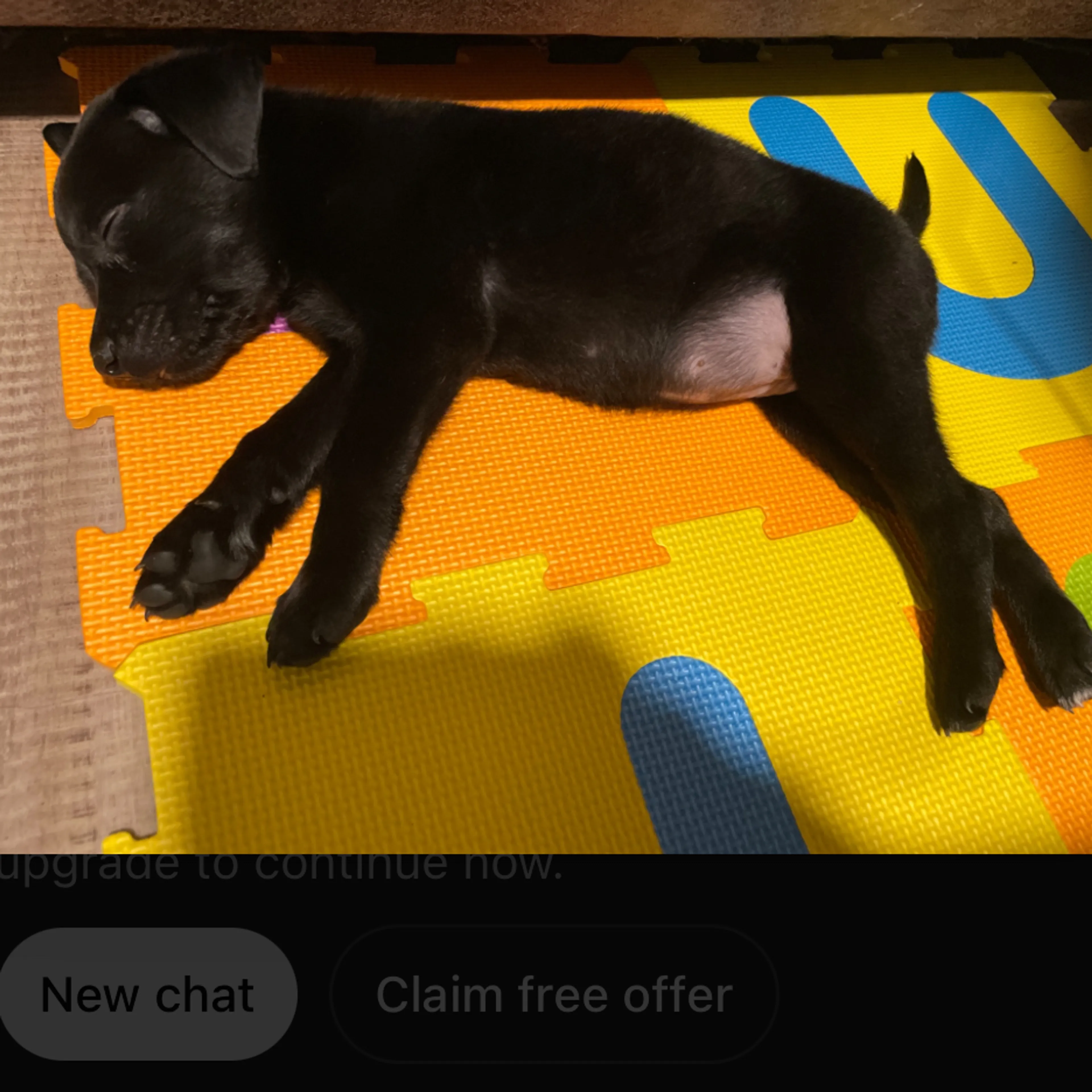 cdn image