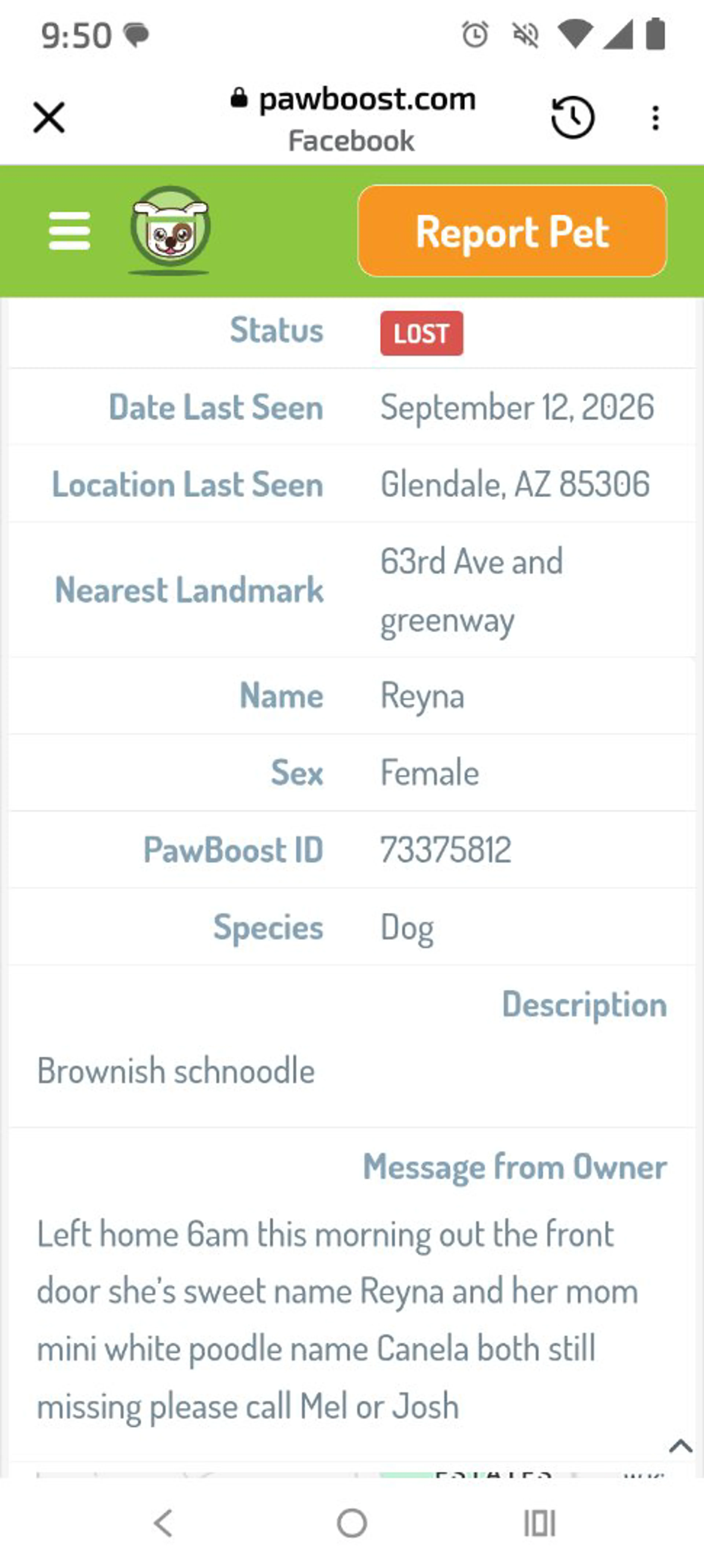 cdn image