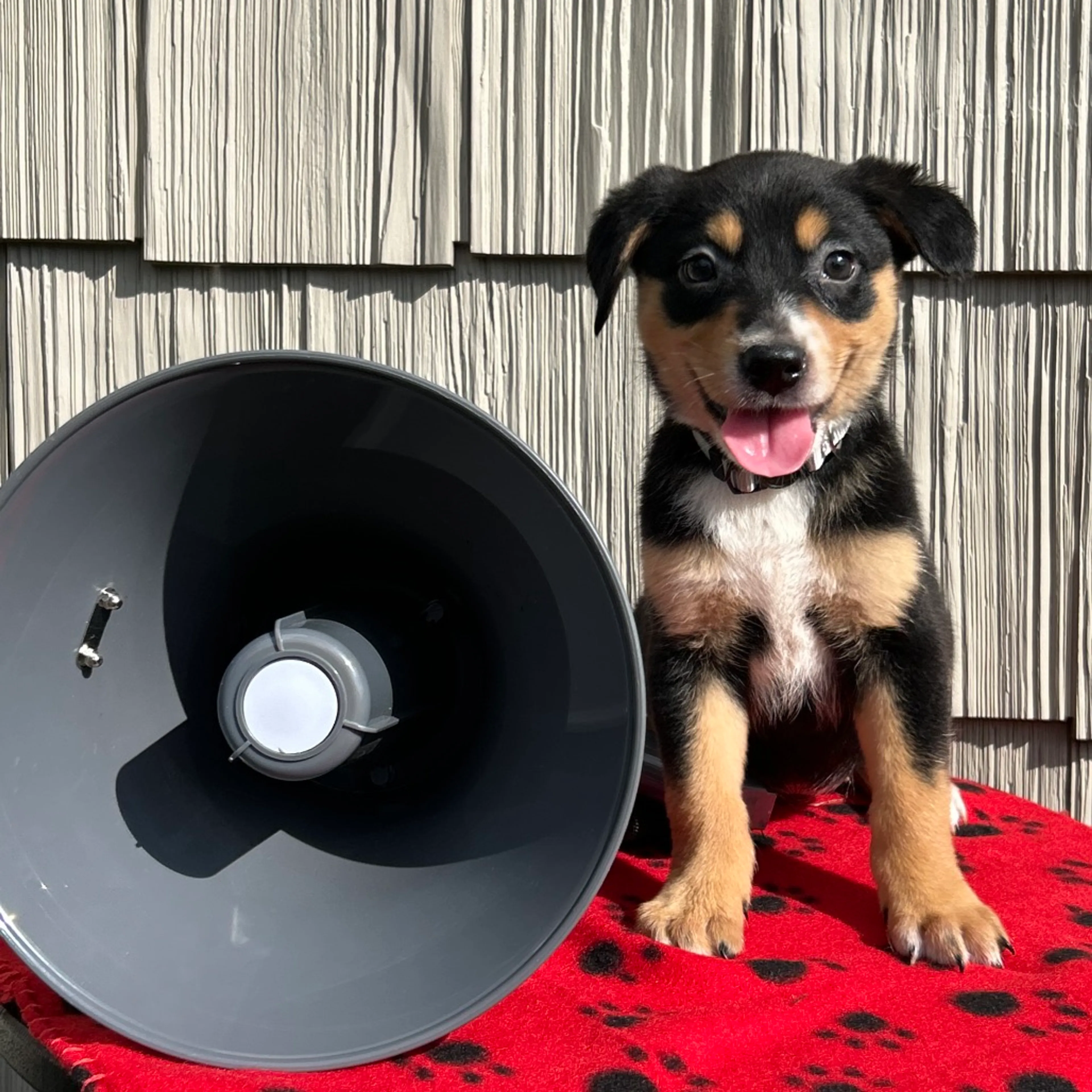 cdn image