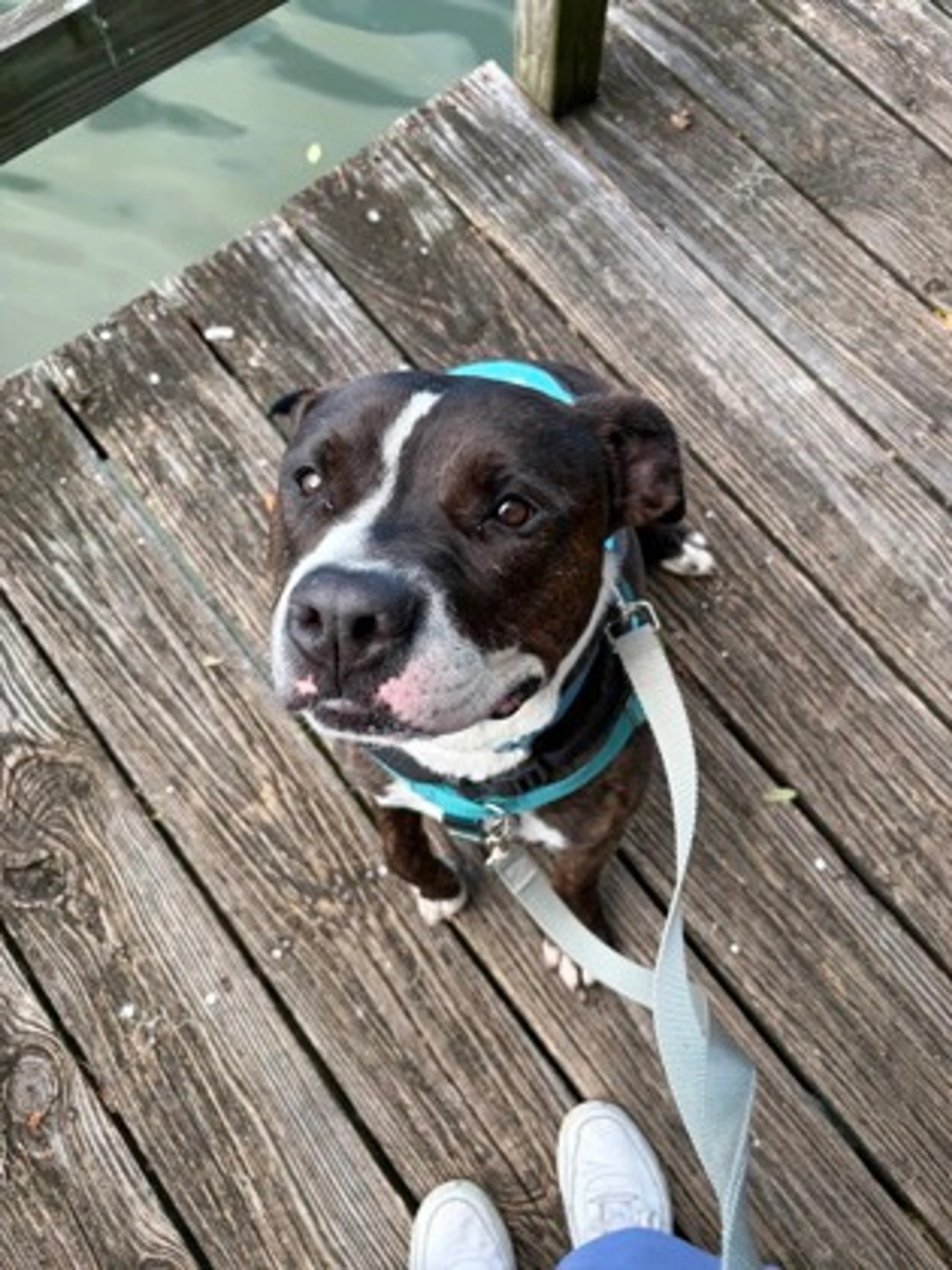 cdn image