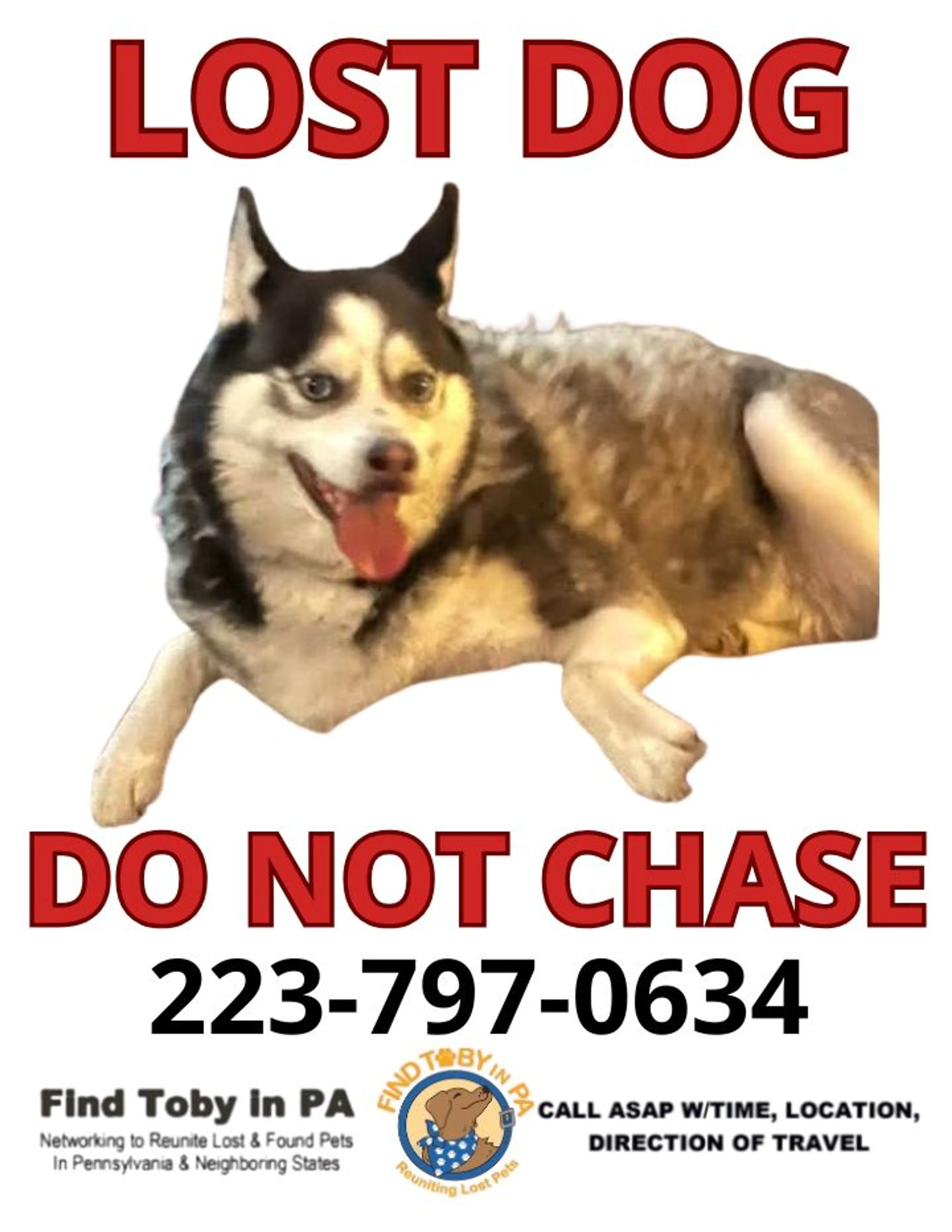 cdn image