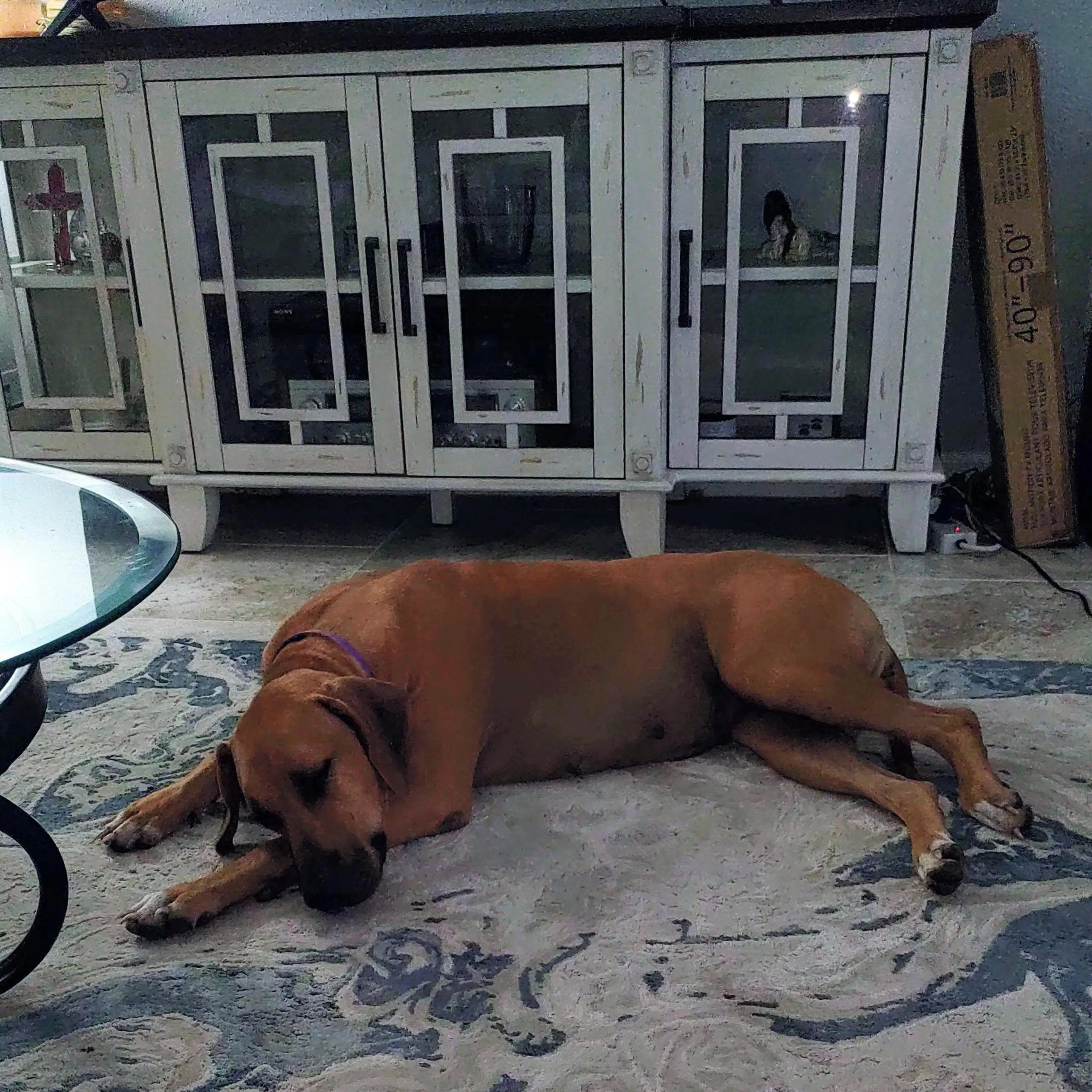 cdn image