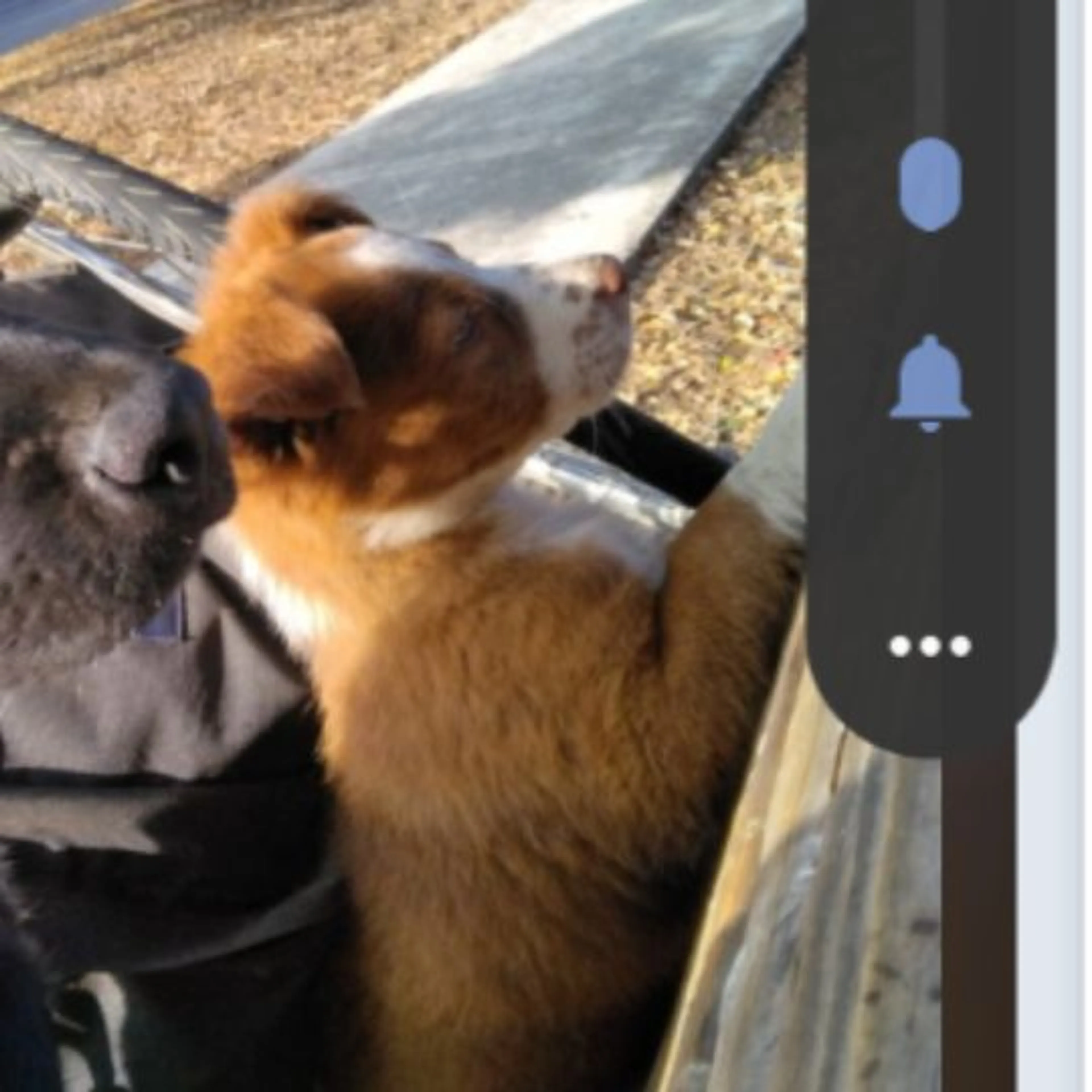 cdn image