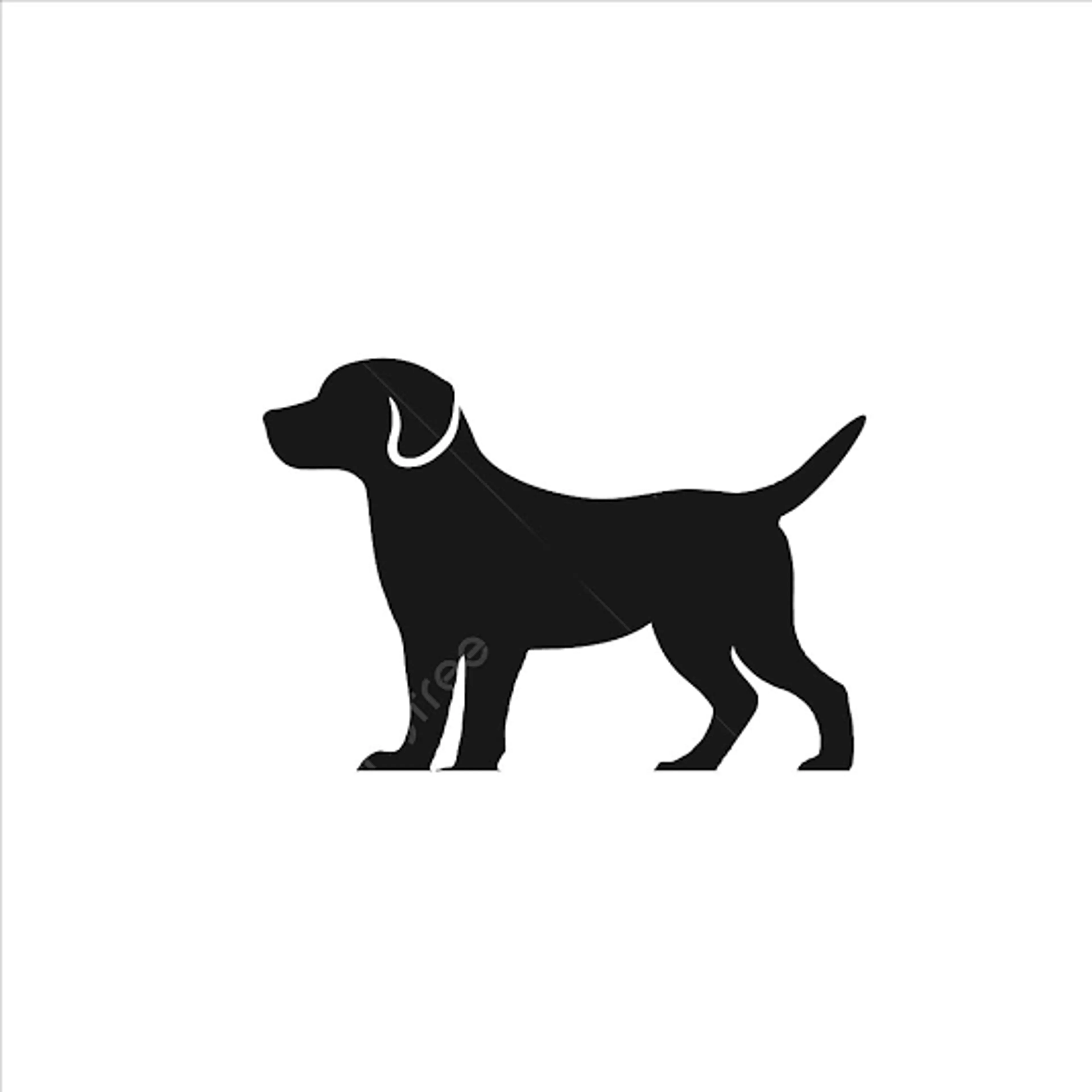 cdn image