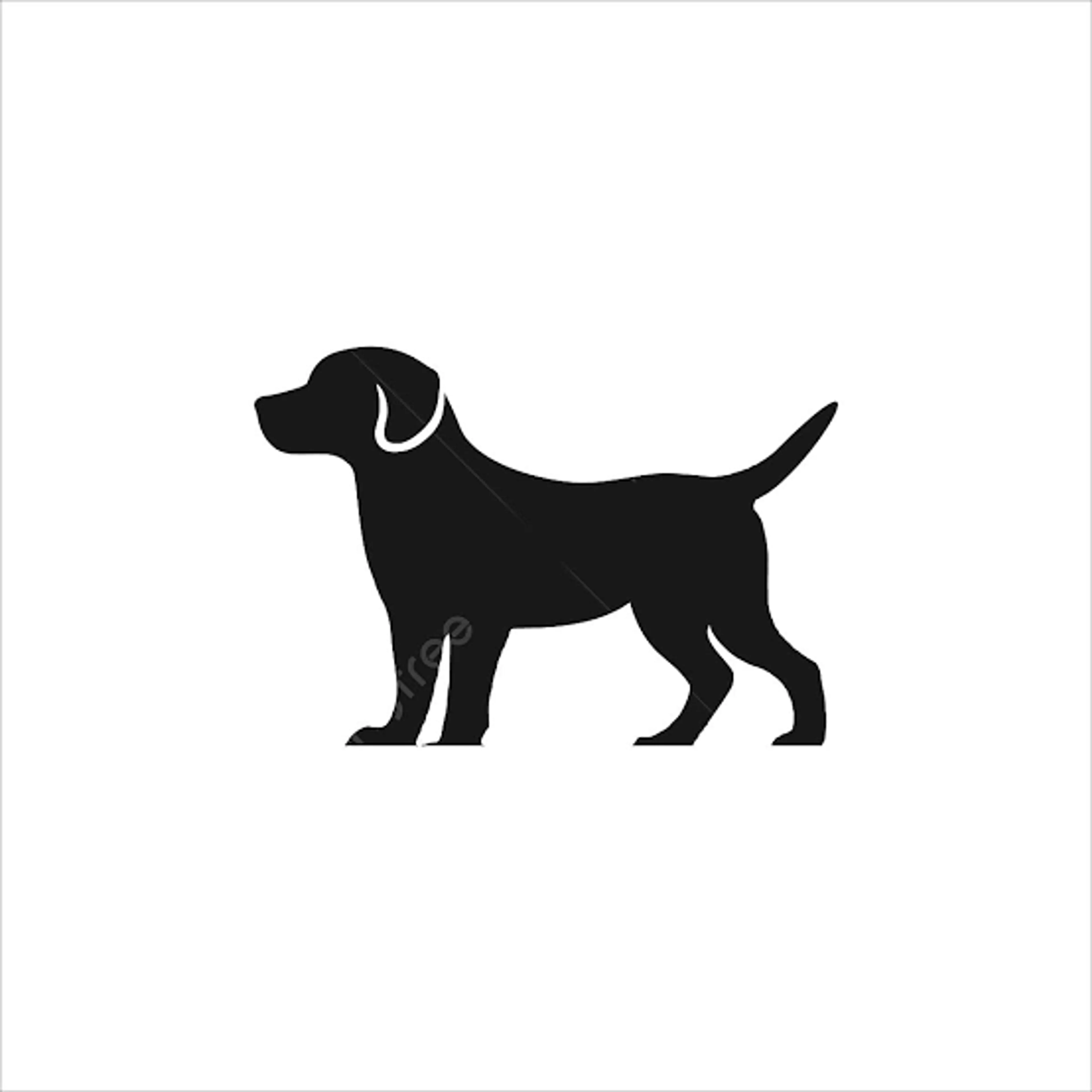 cdn image