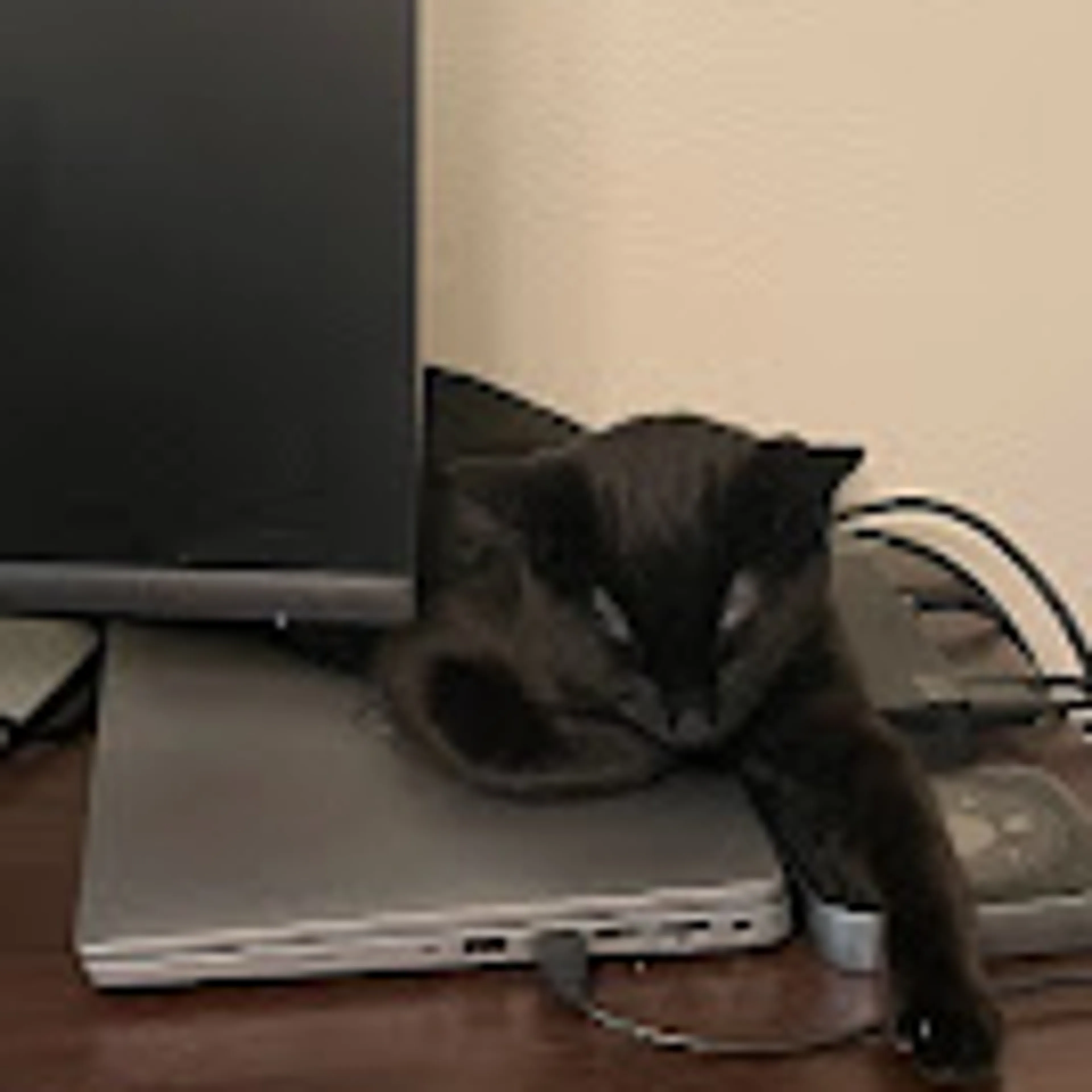 cdn image