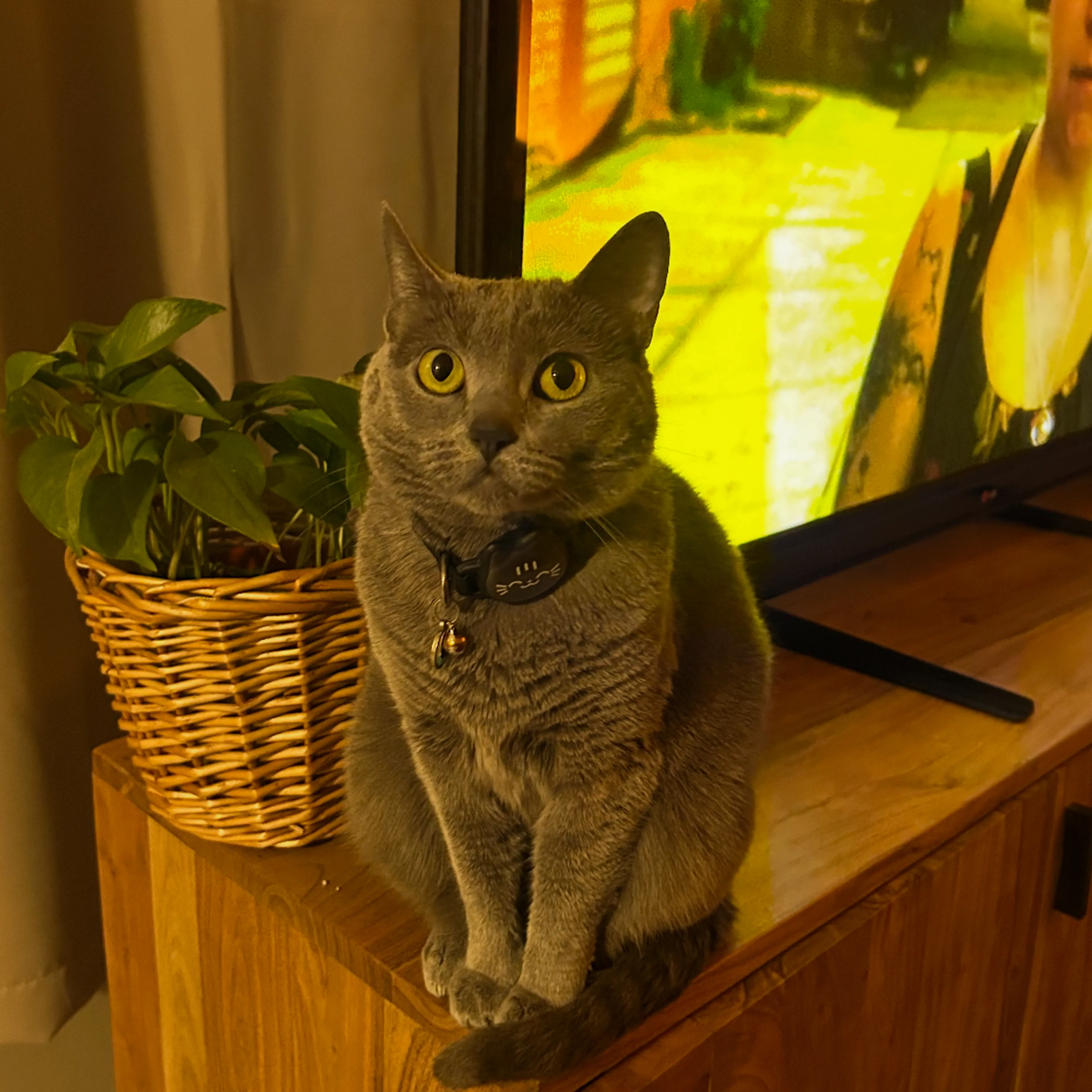 cdn image