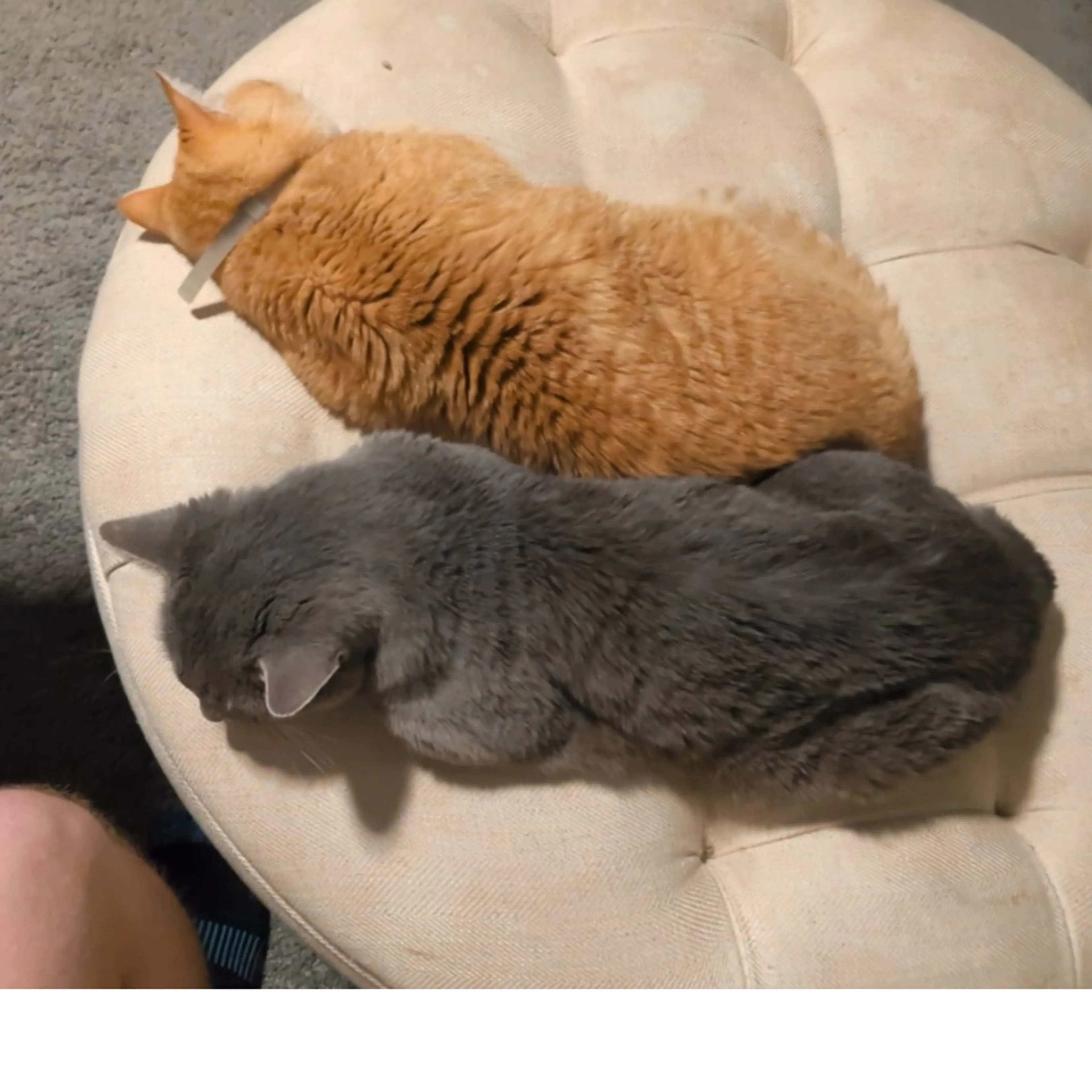 cdn image