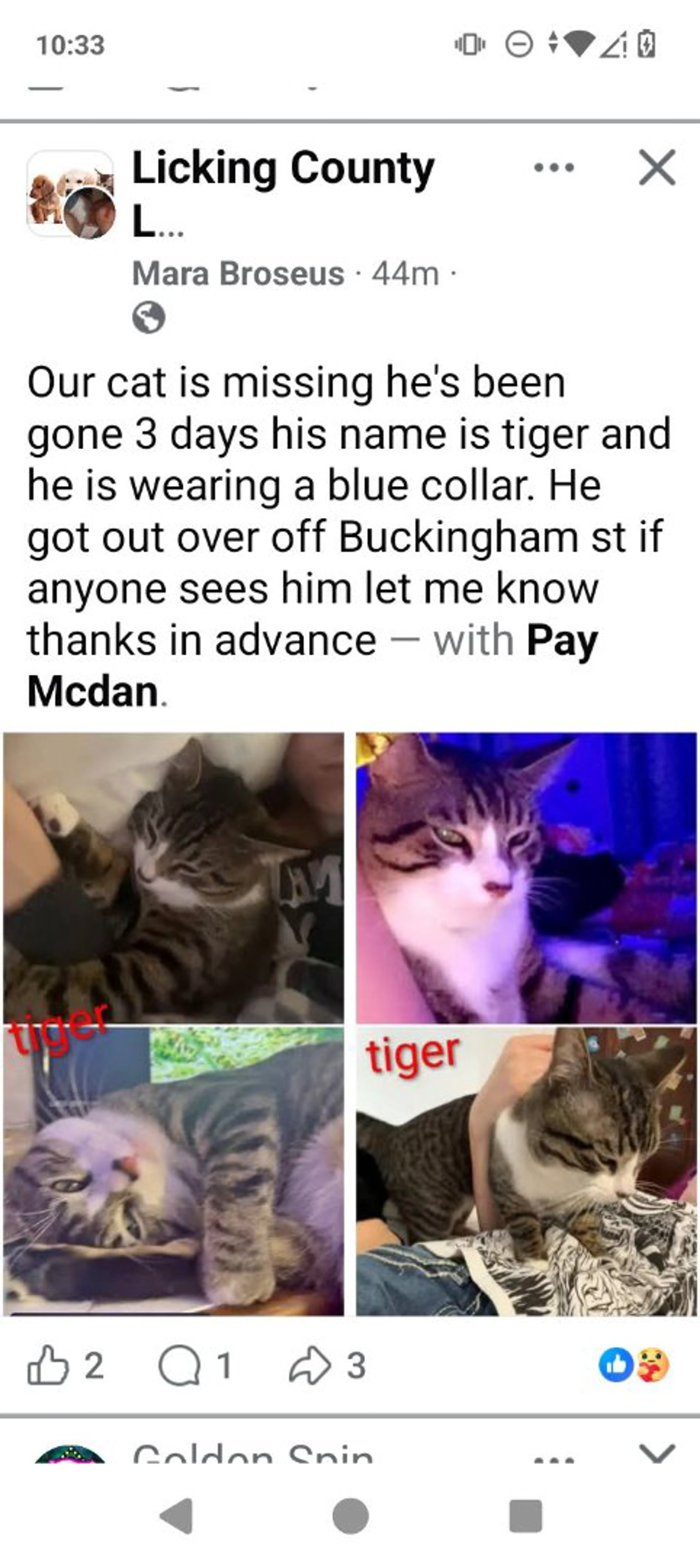cdn image