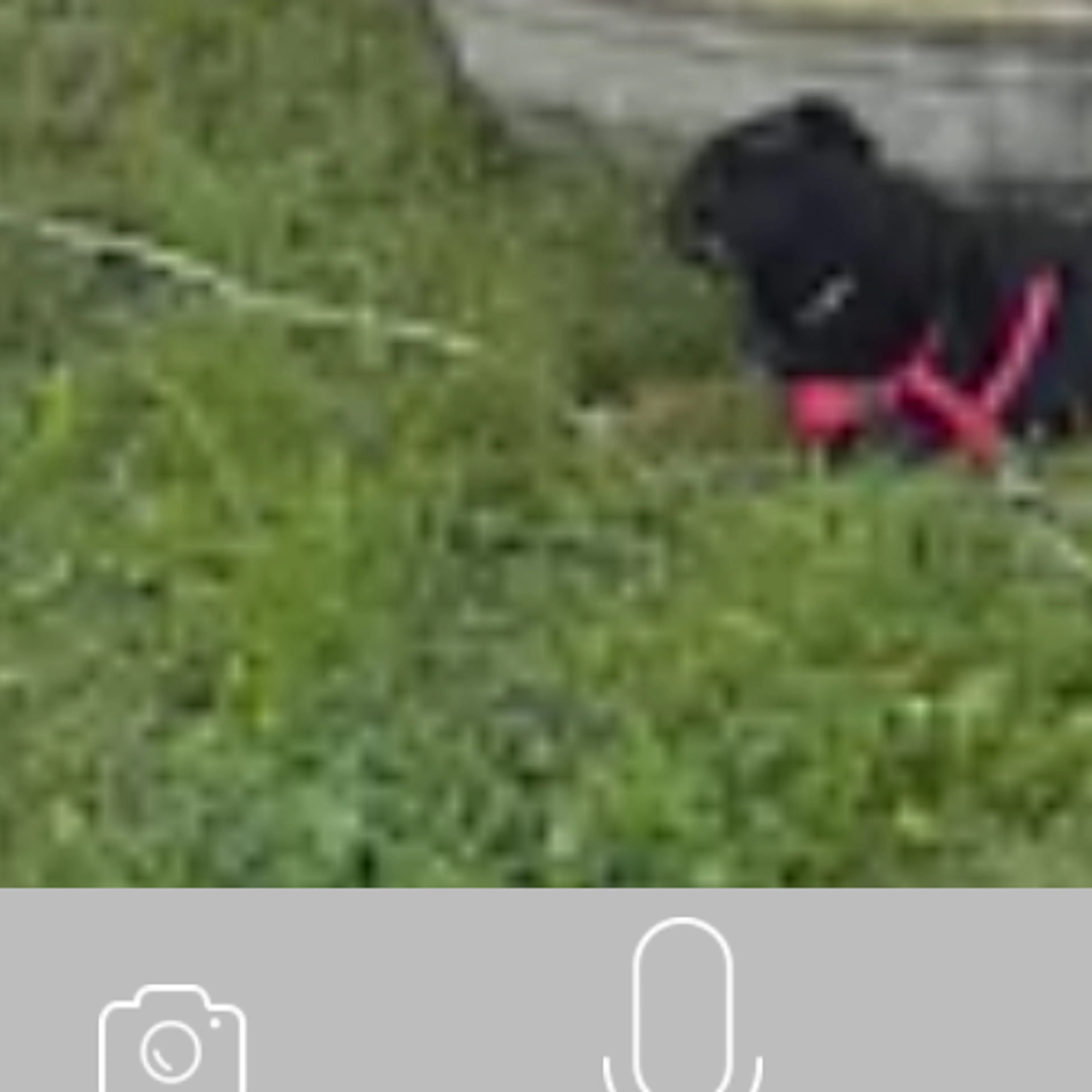 cdn image