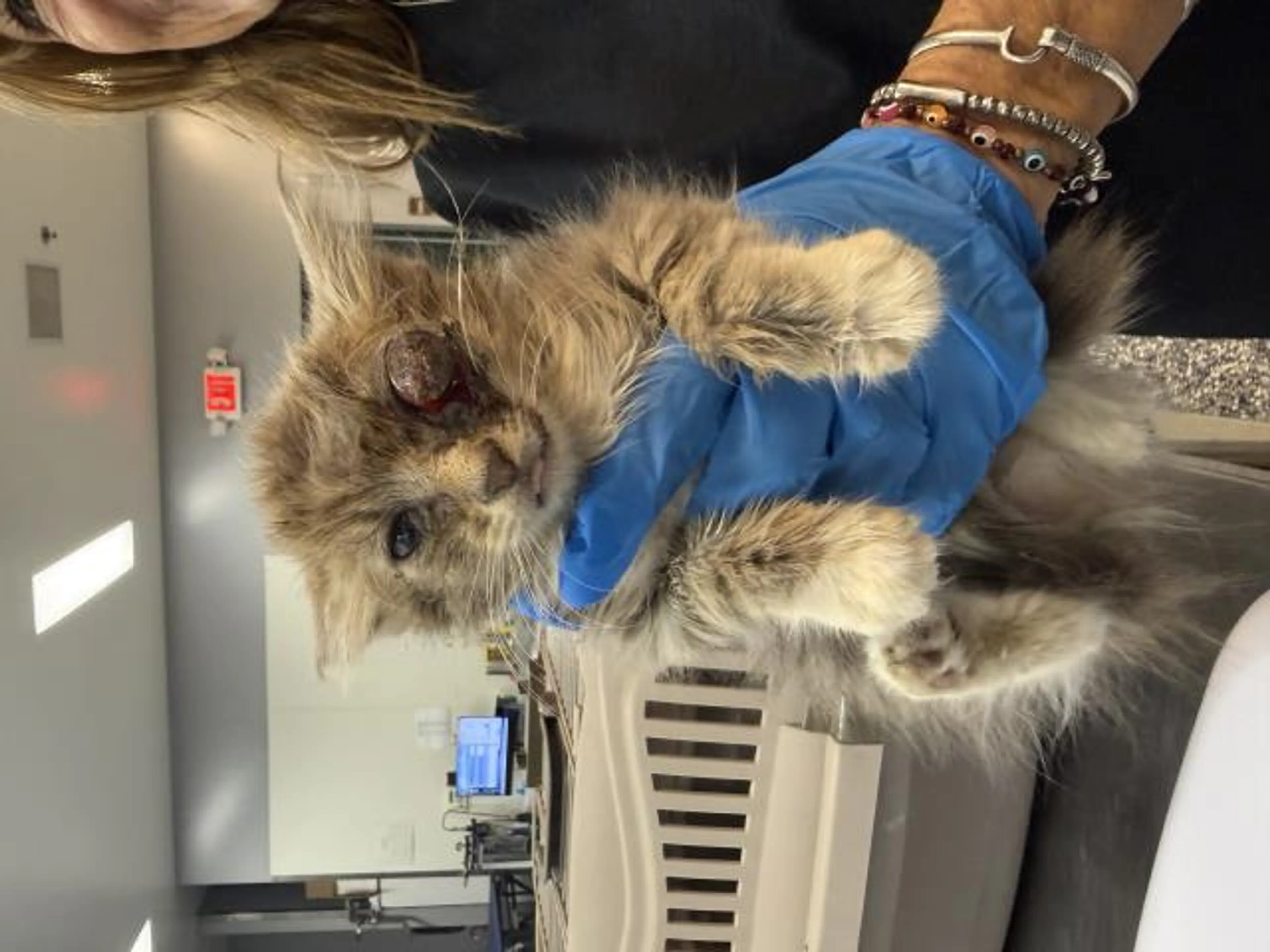 cdn image