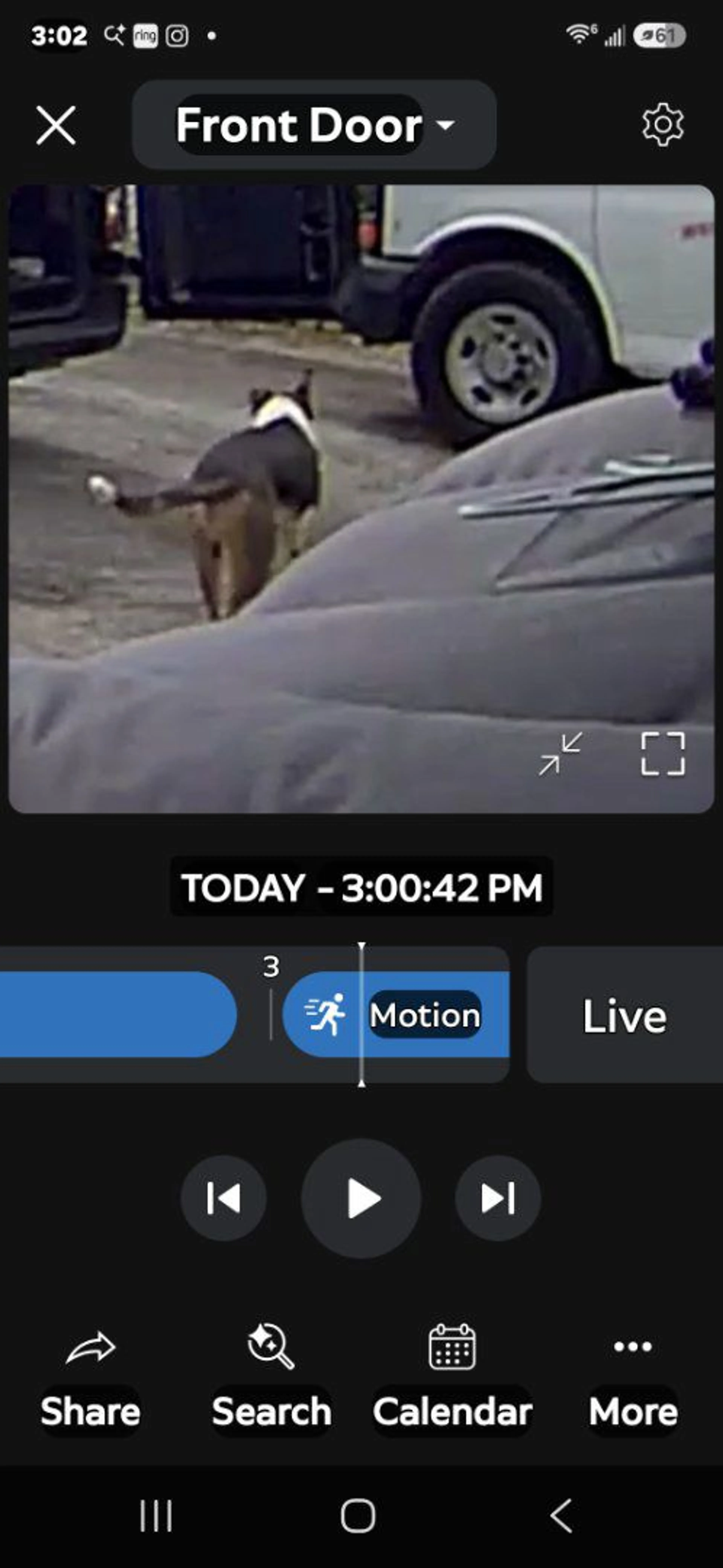 cdn image