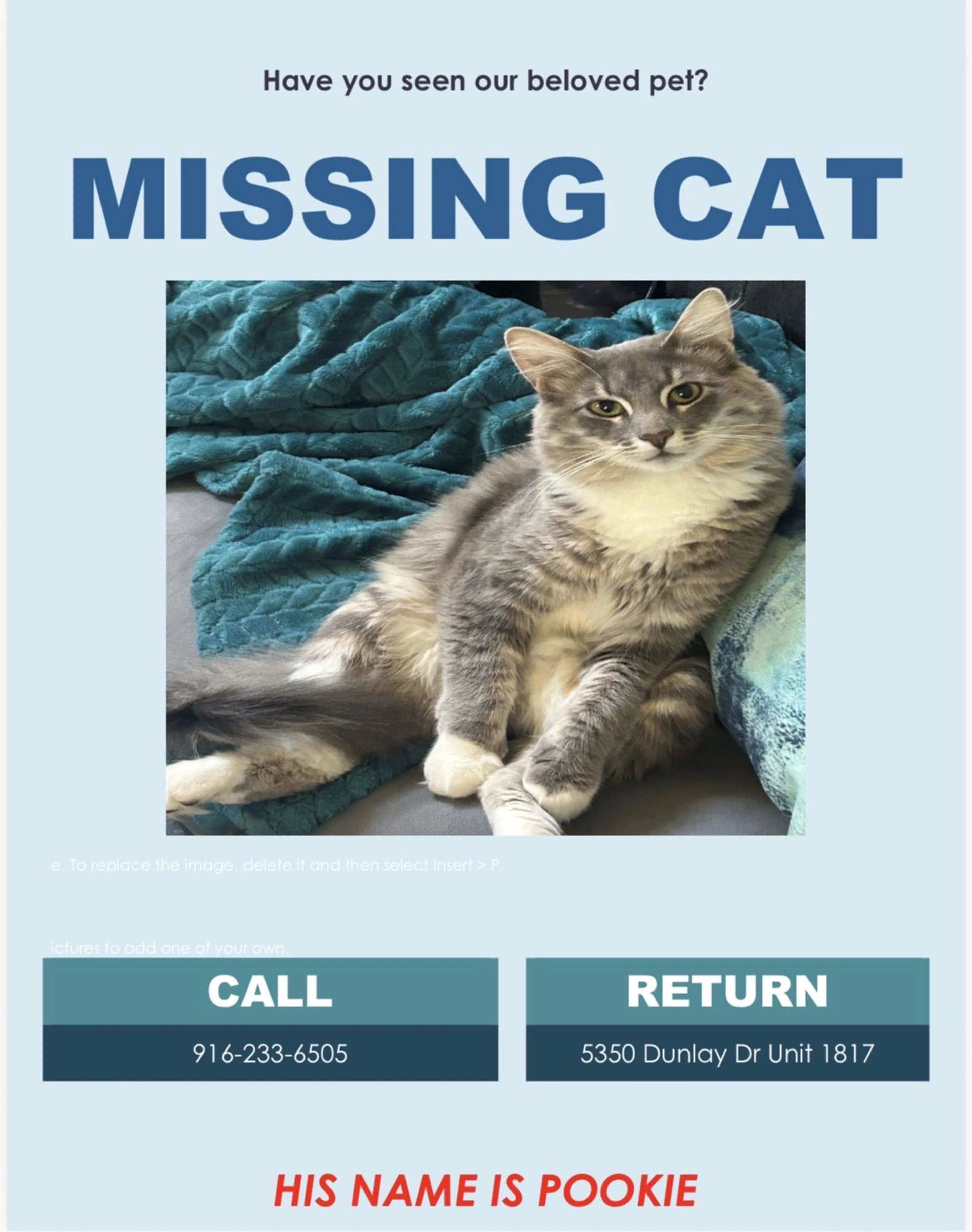 cdn image