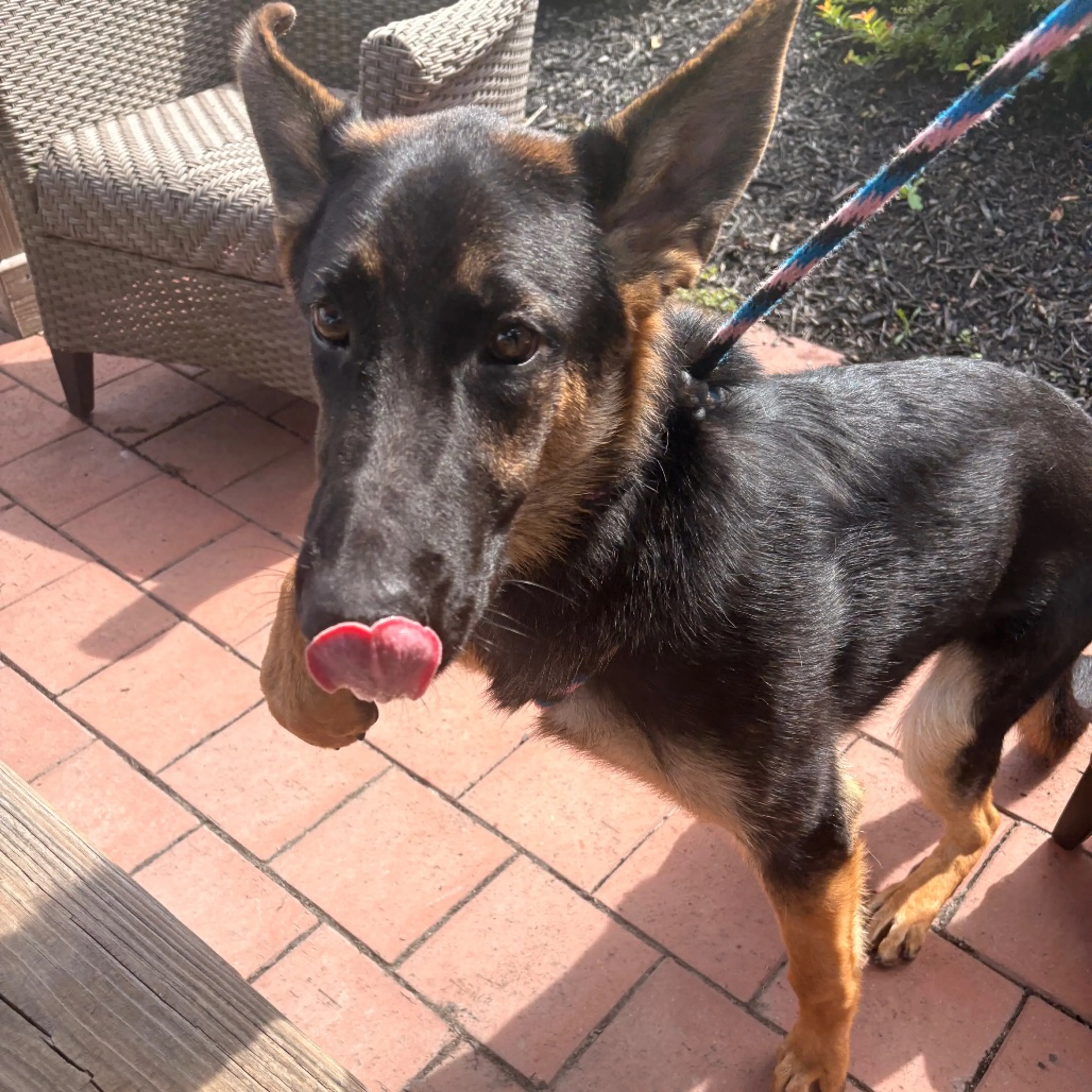 cdn image