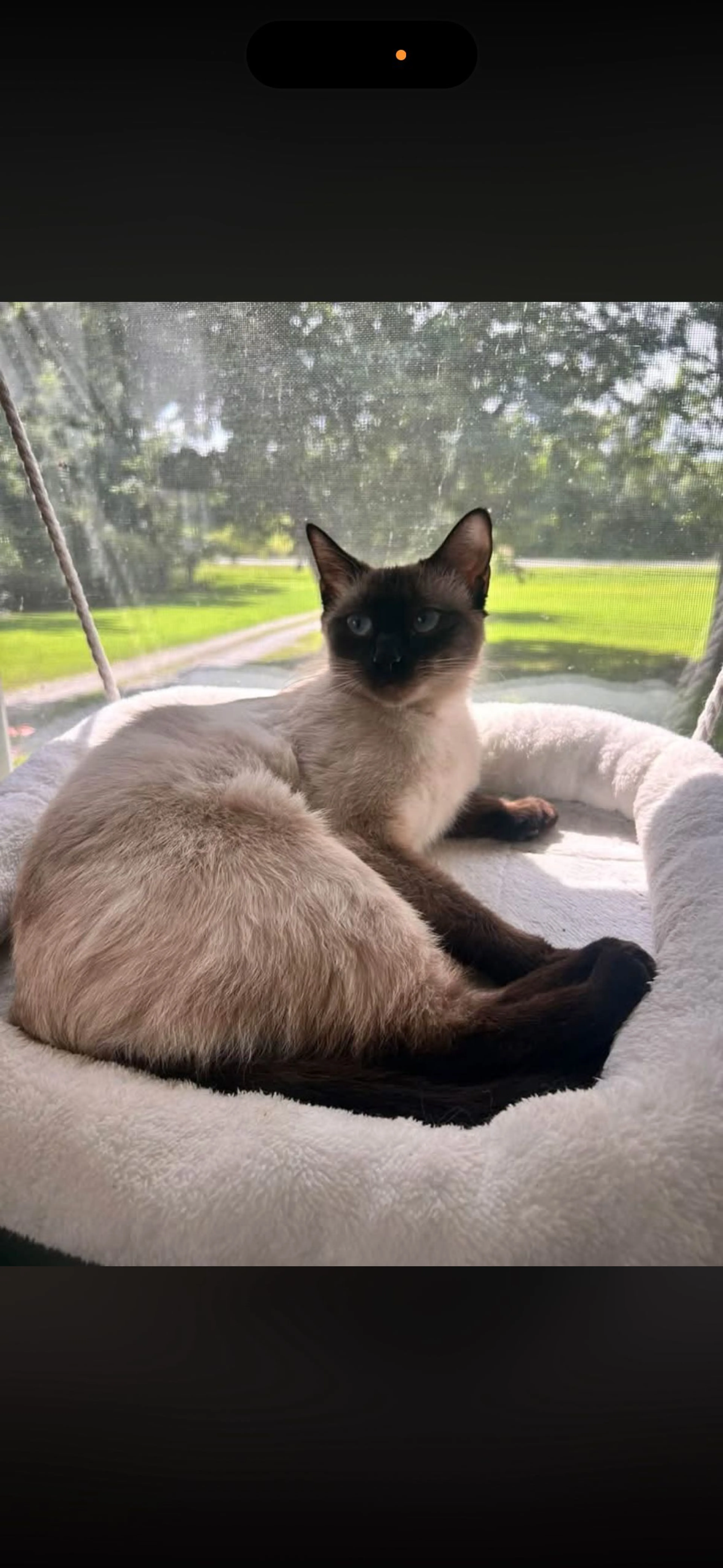 cdn image