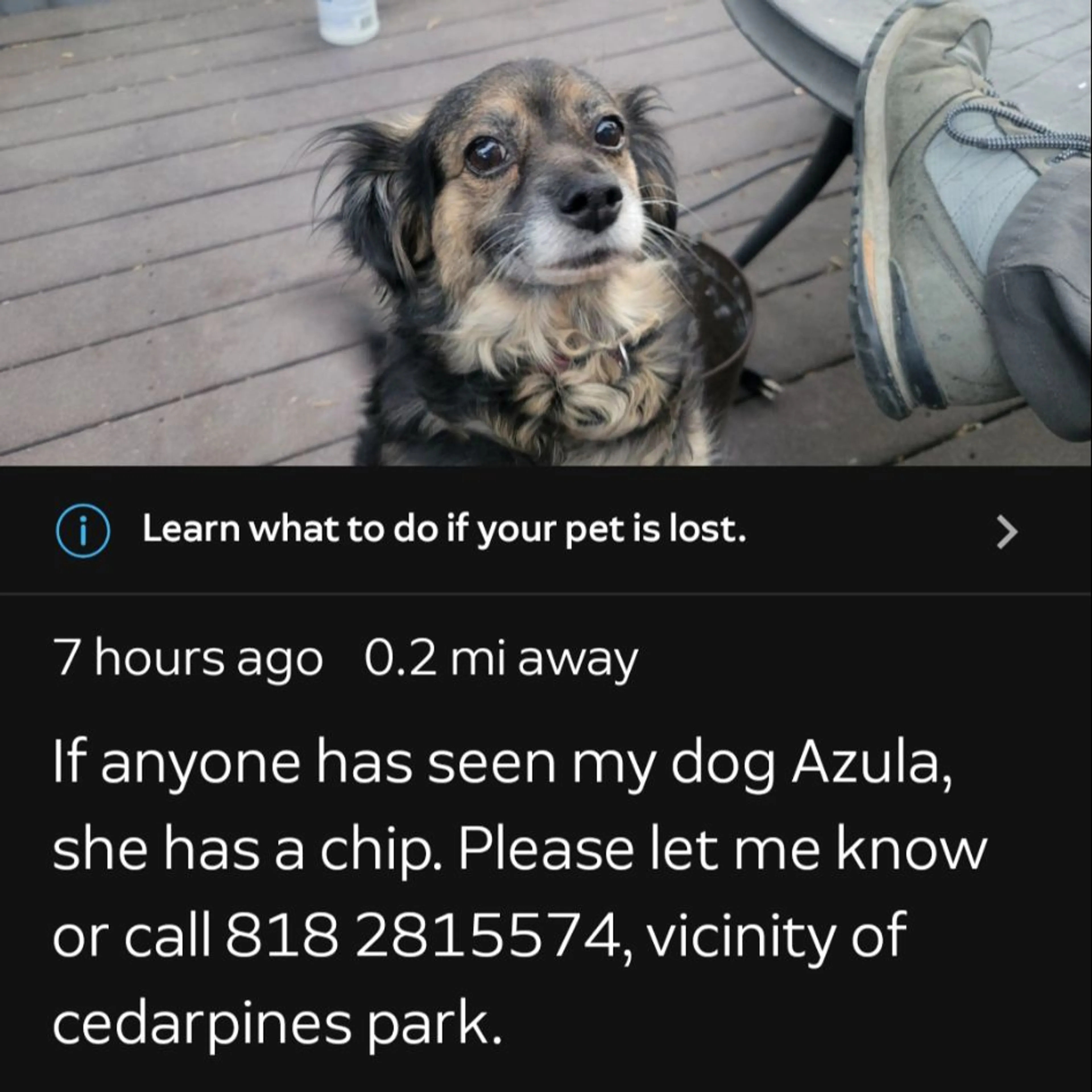 cdn image