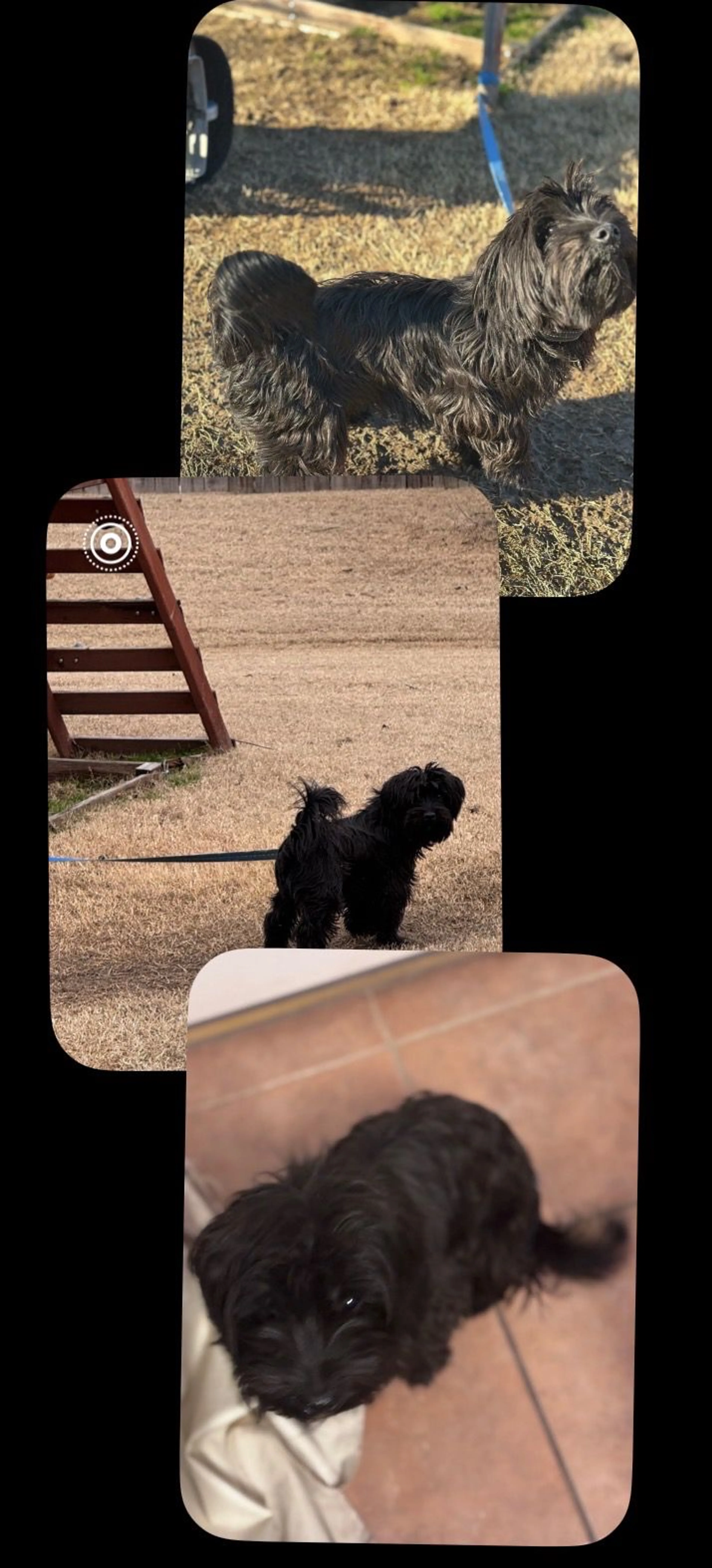 cdn image