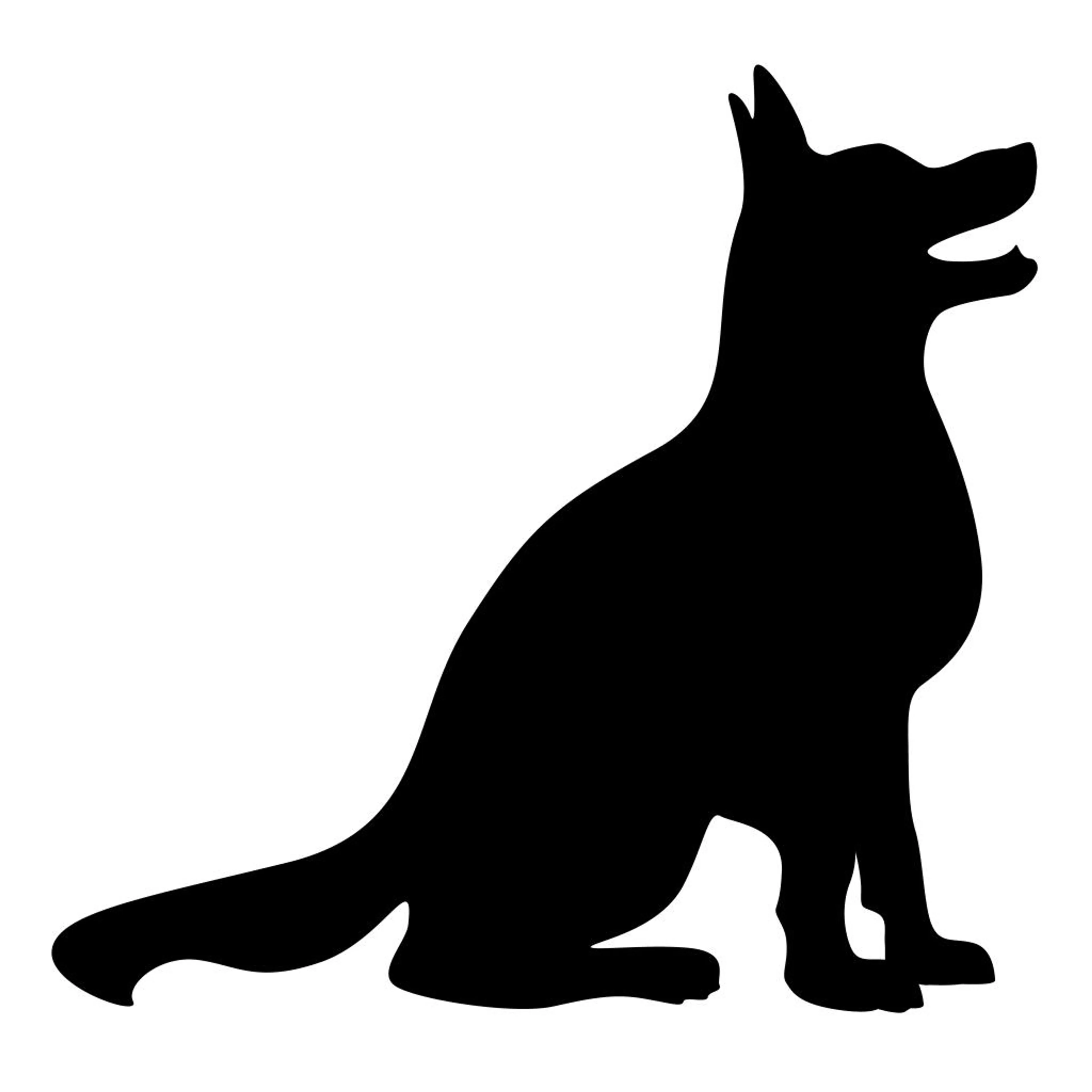 cdn image