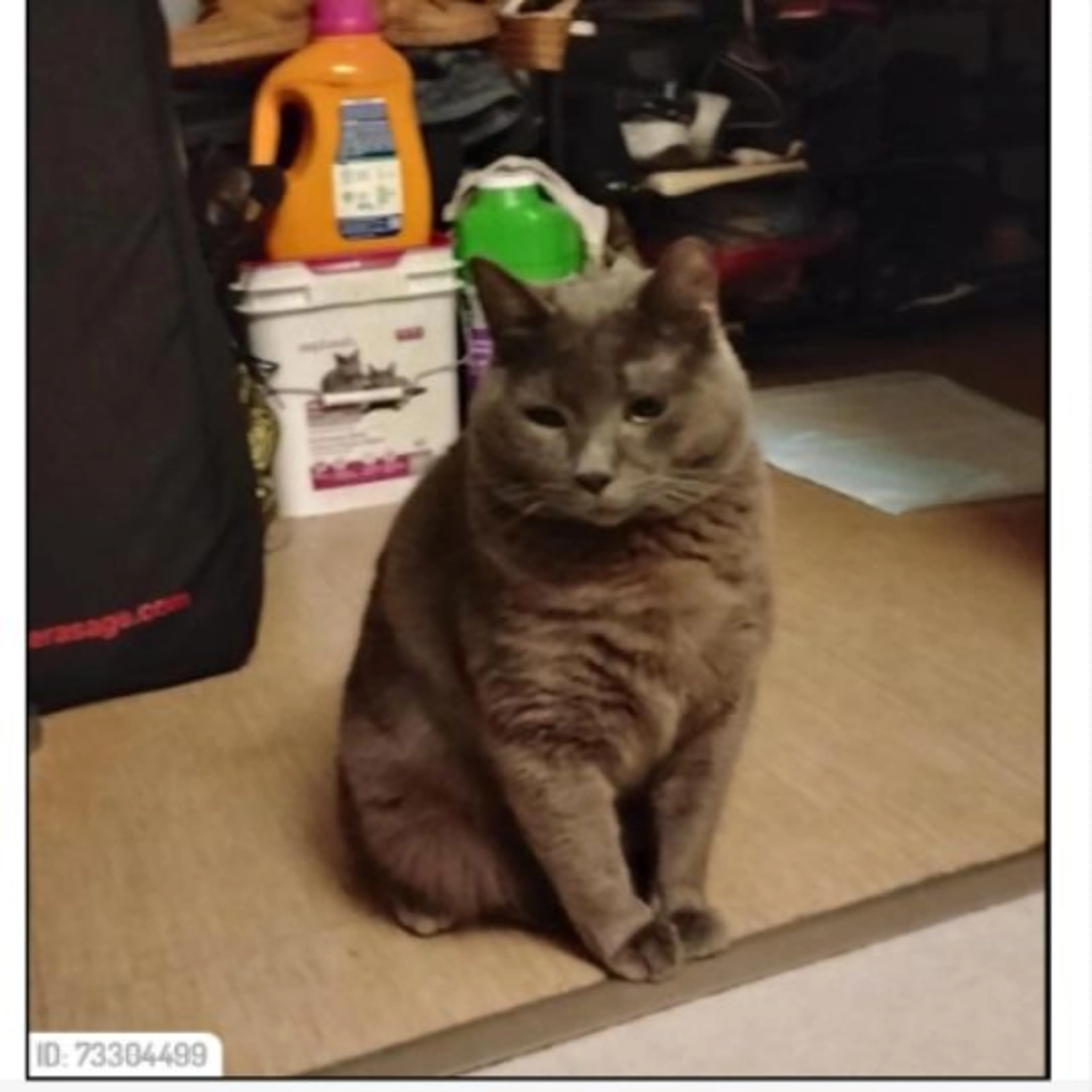 cdn image