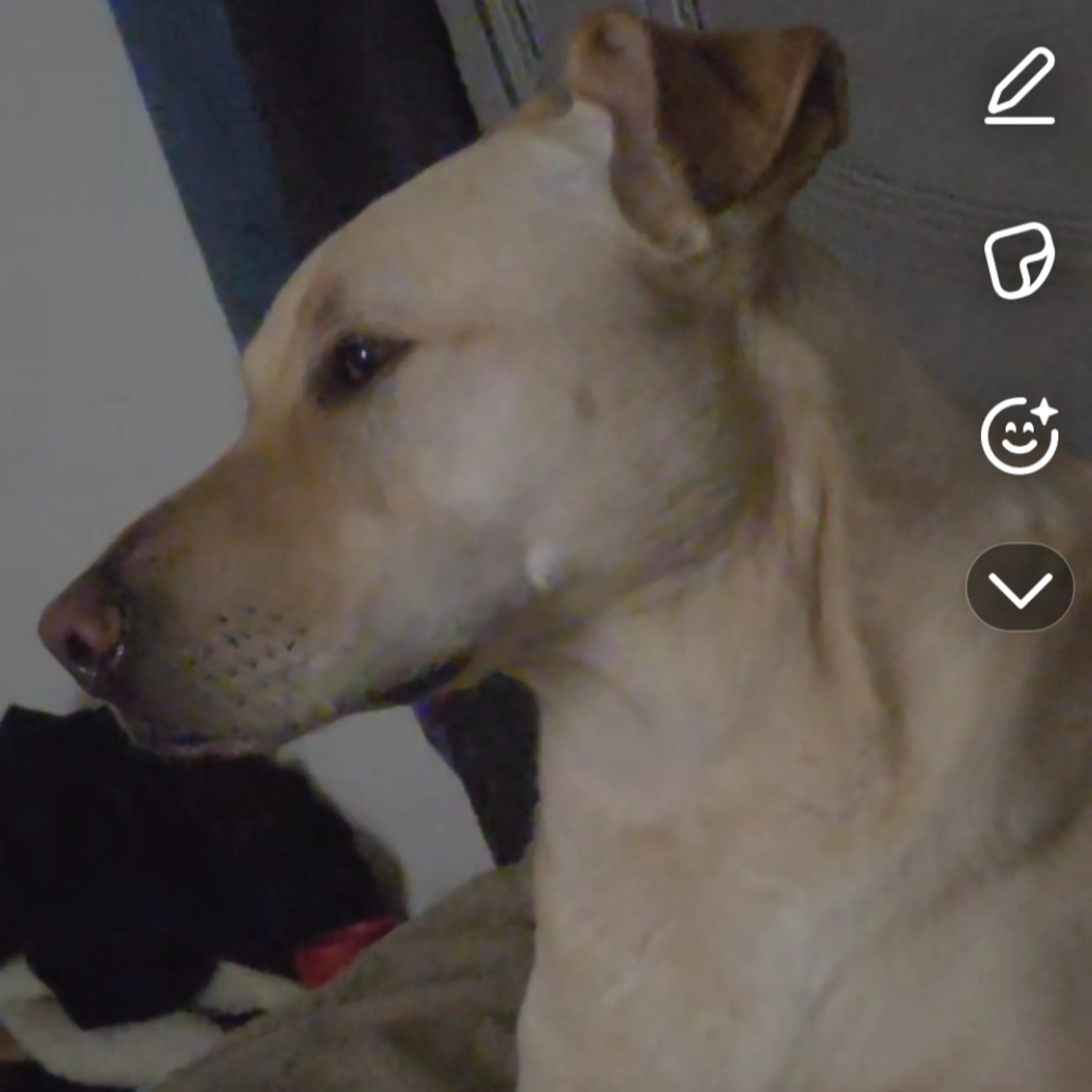 cdn image