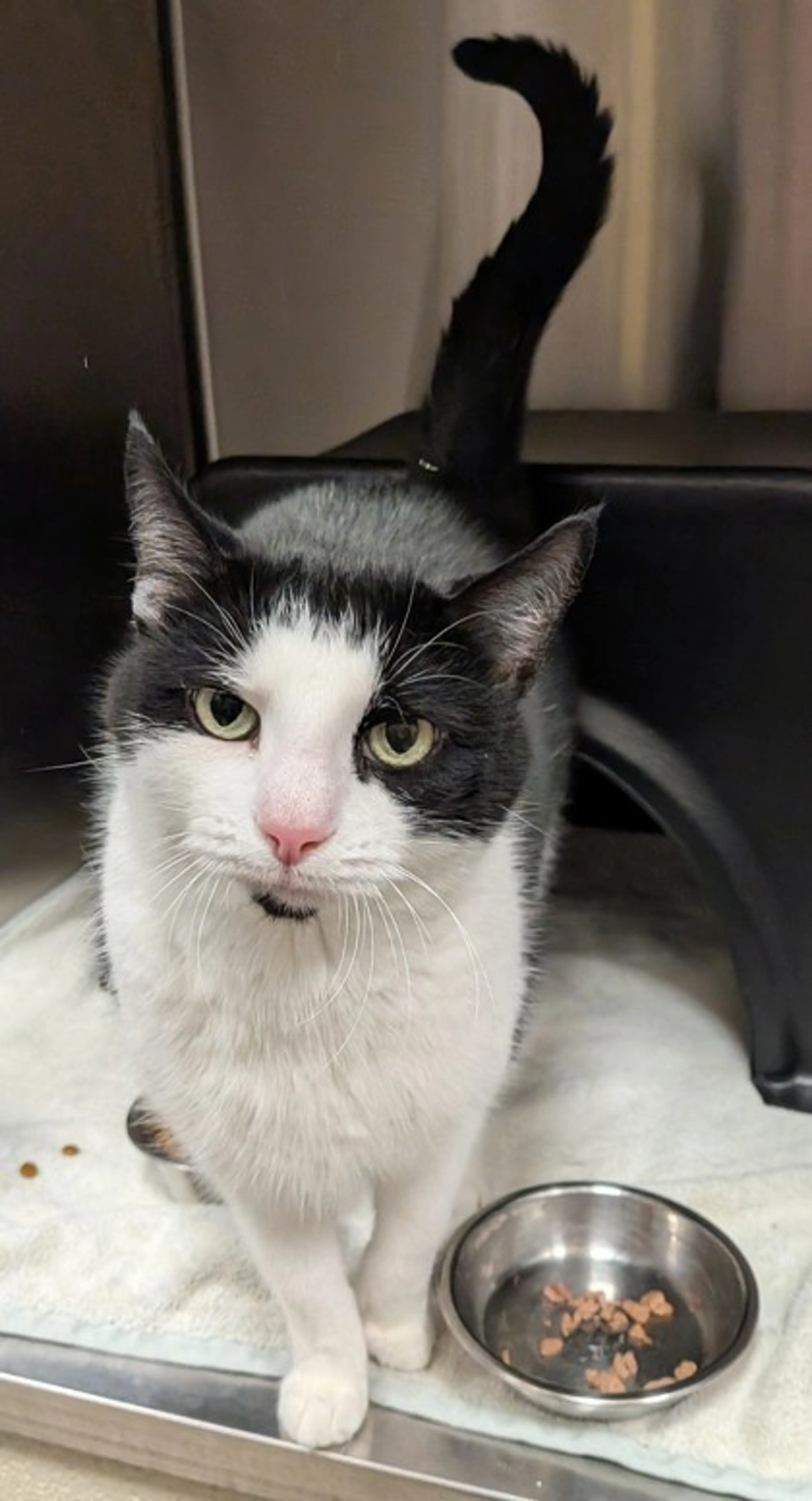 cdn image