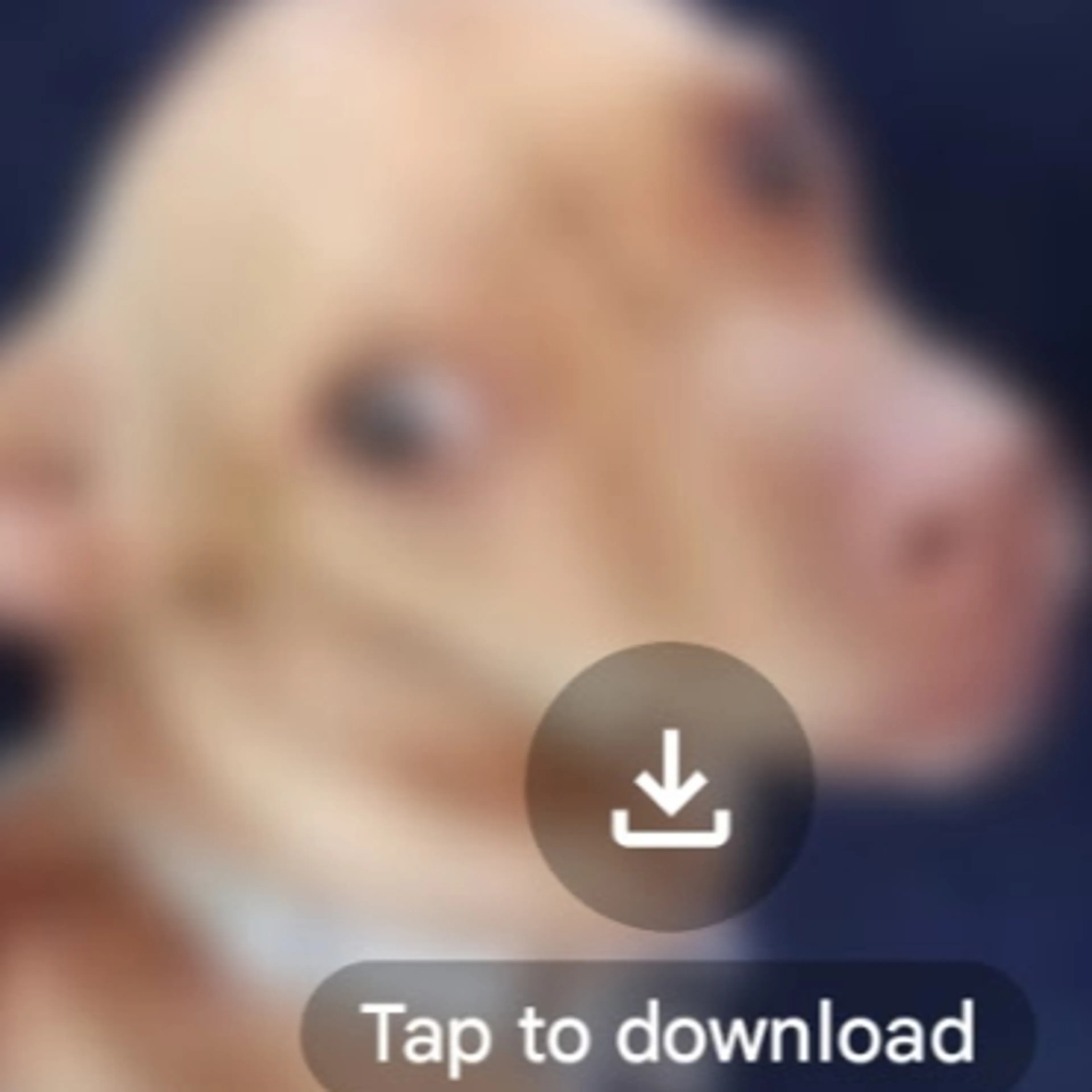 cdn image