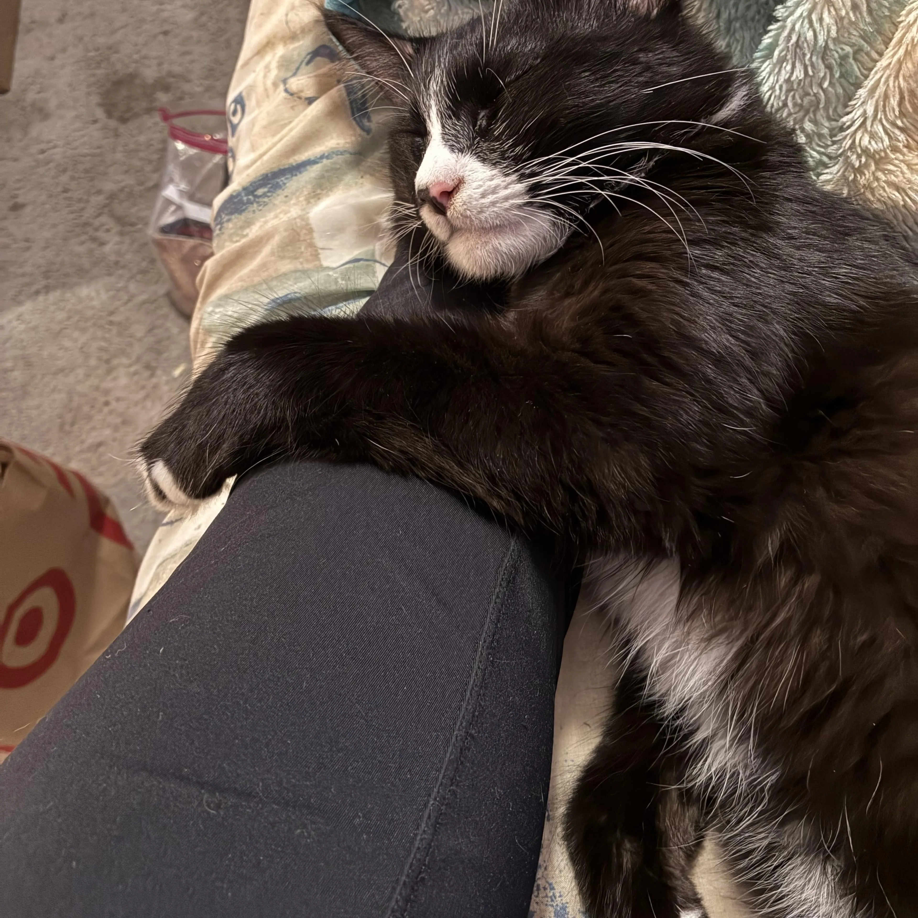 cdn image