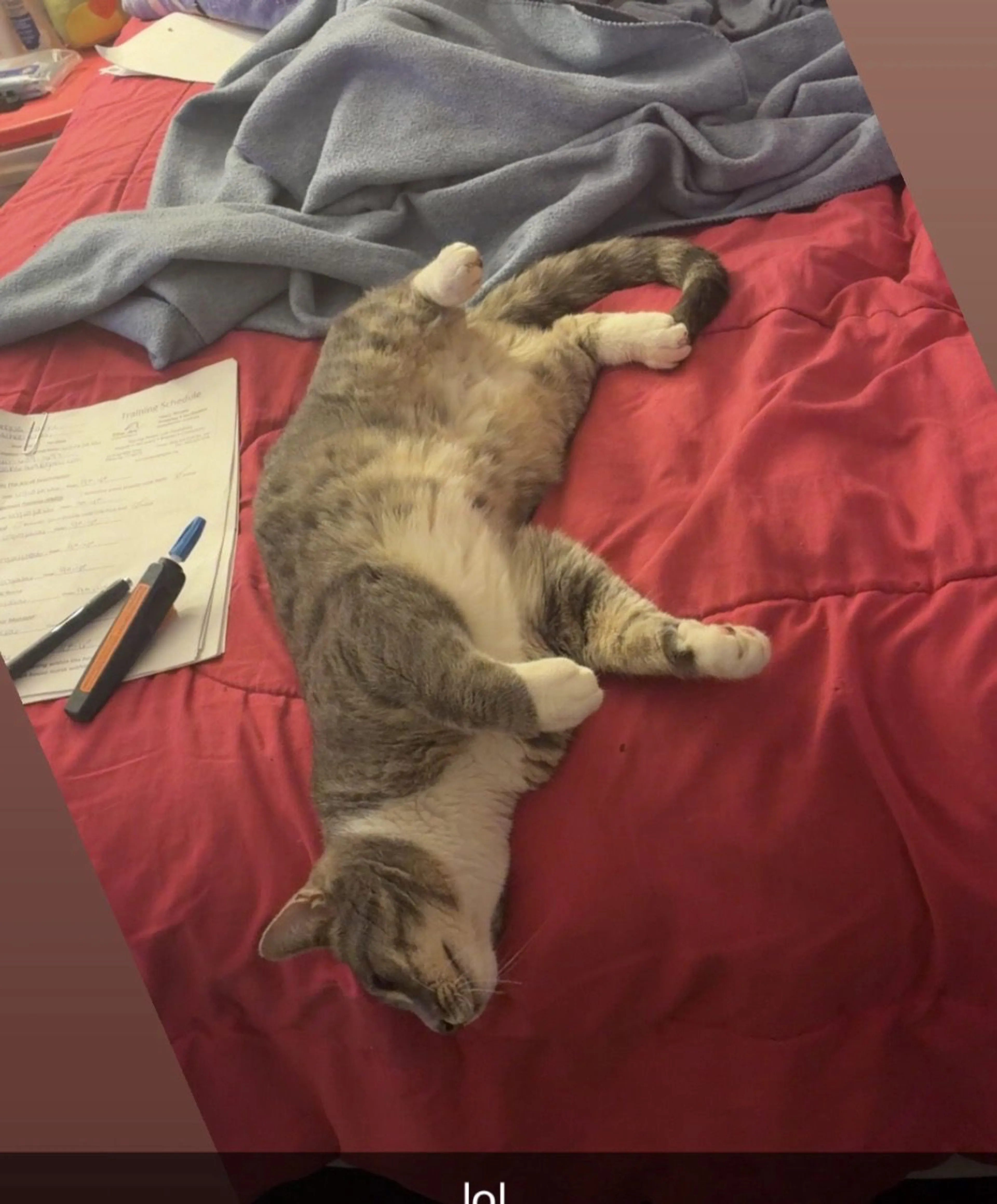 cdn image