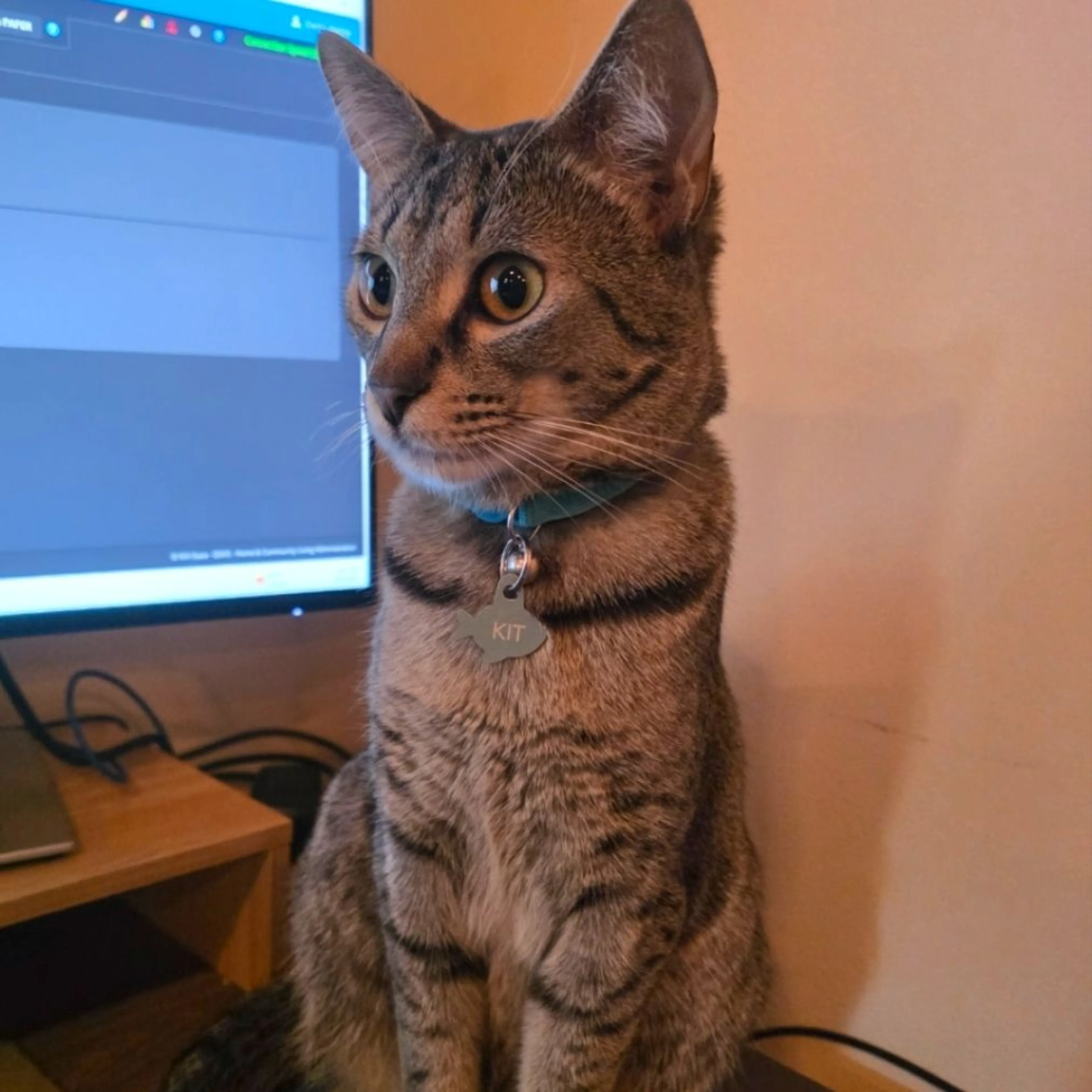 cdn image