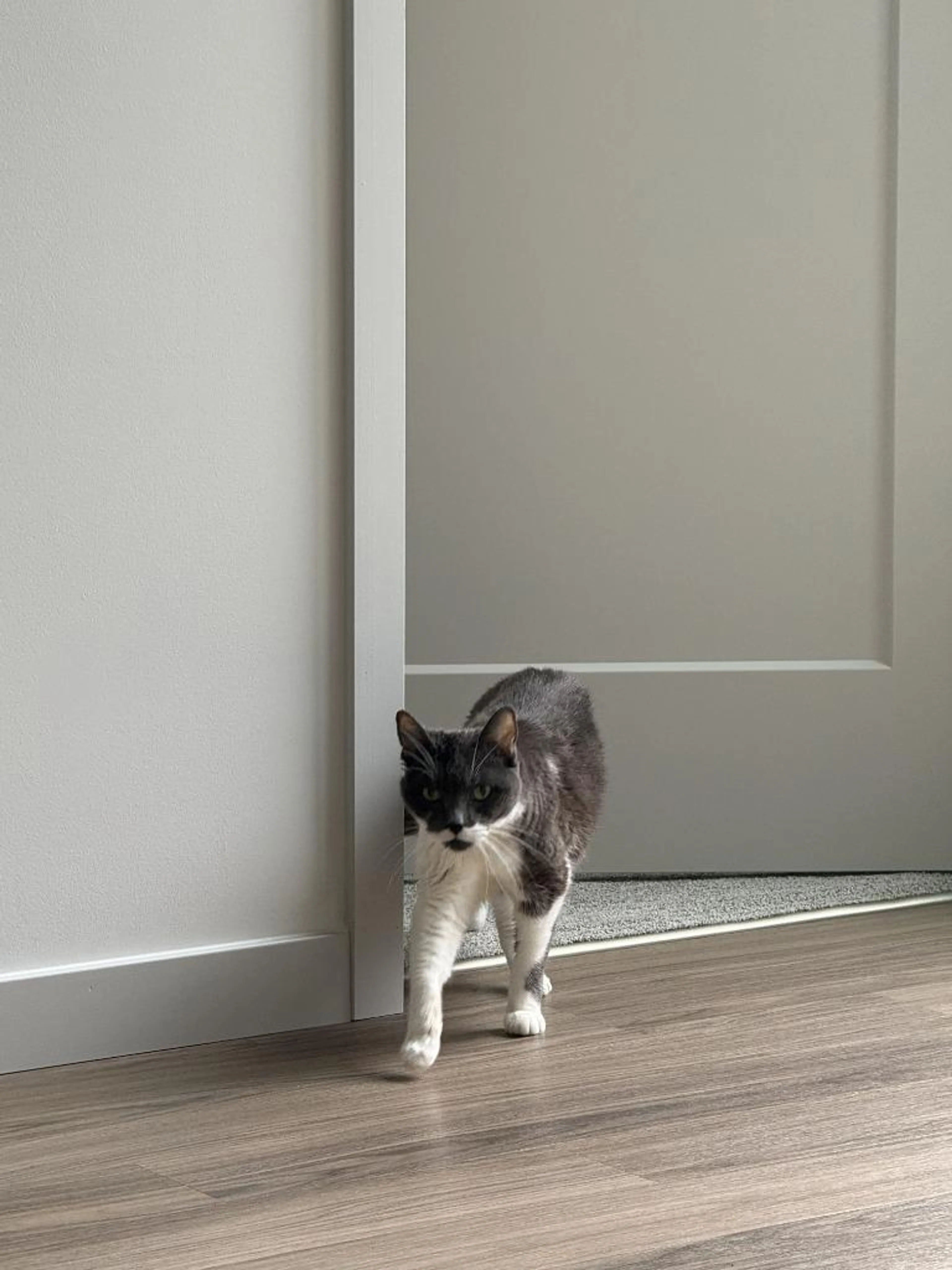 cdn image