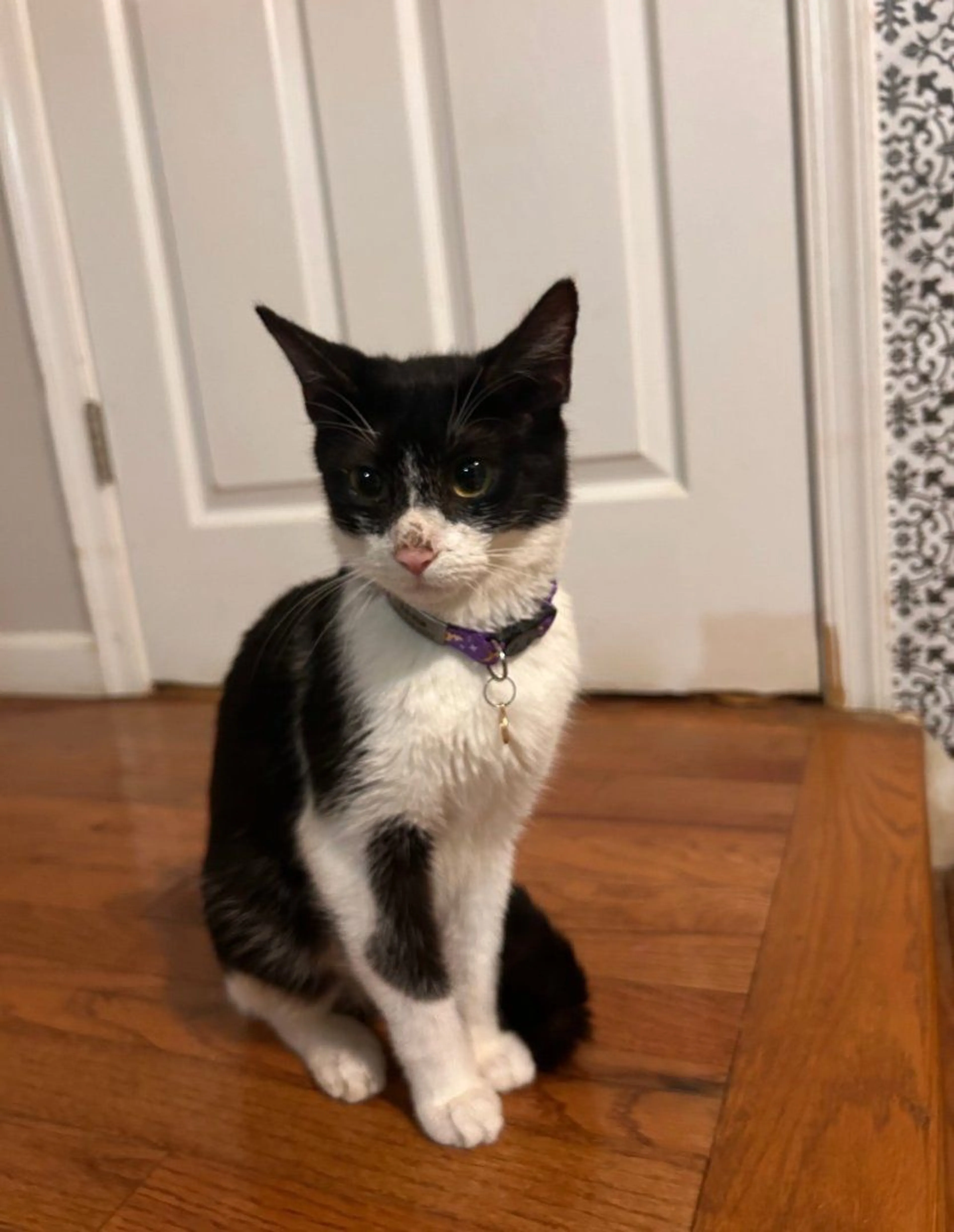 cdn image