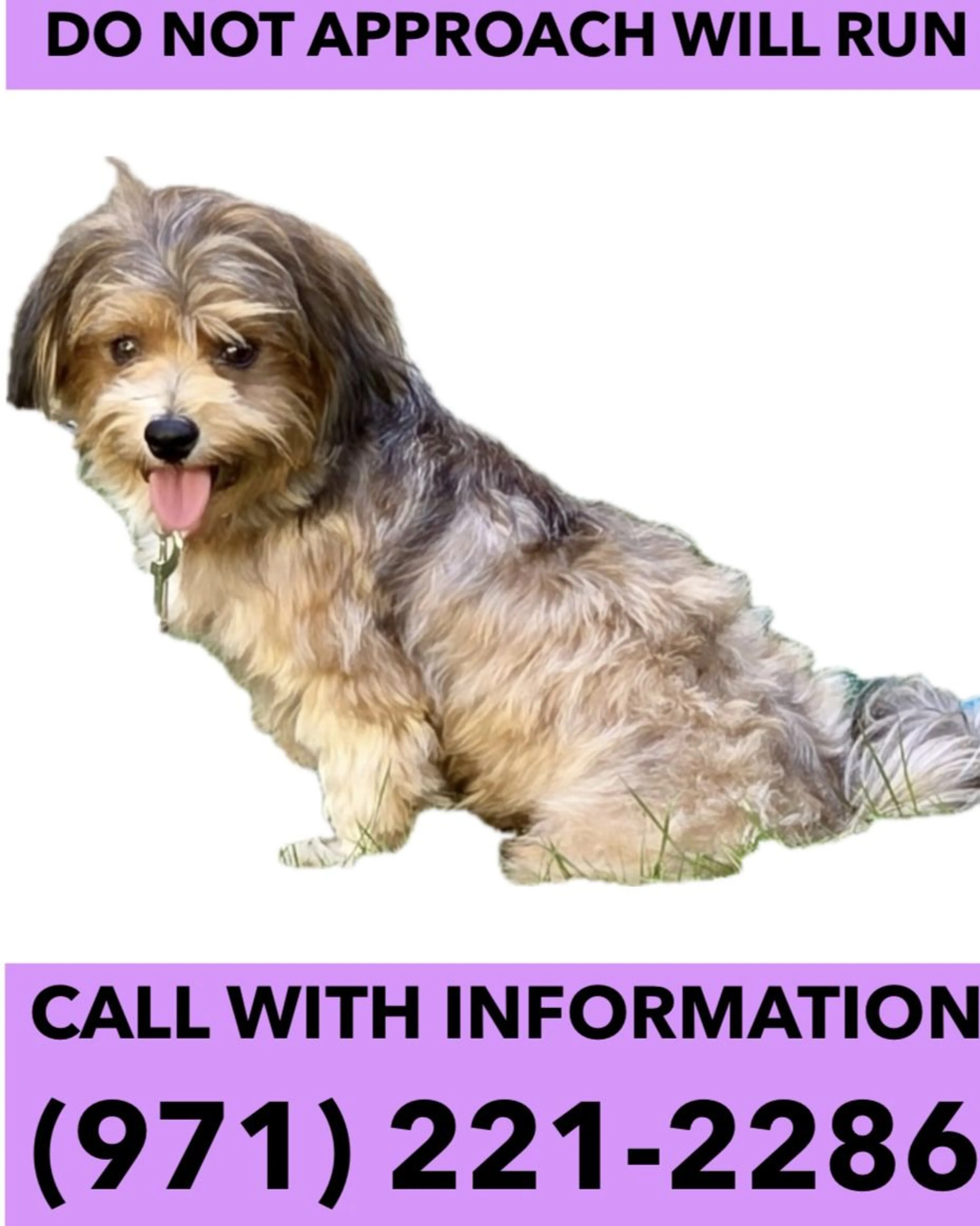 cdn image